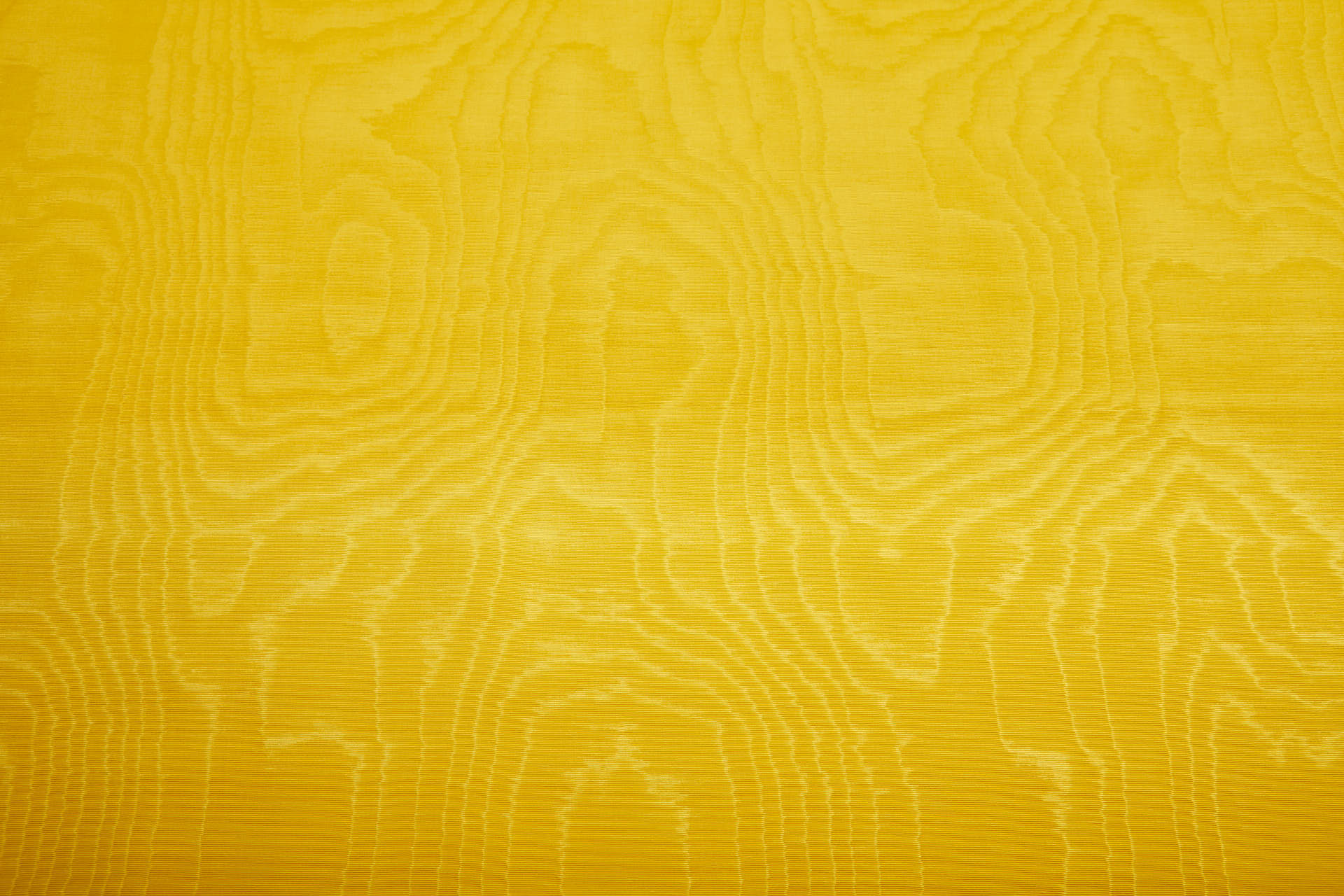 Limited Stock Moire Grosgrain - Sunflower fabric, image 4 of 10