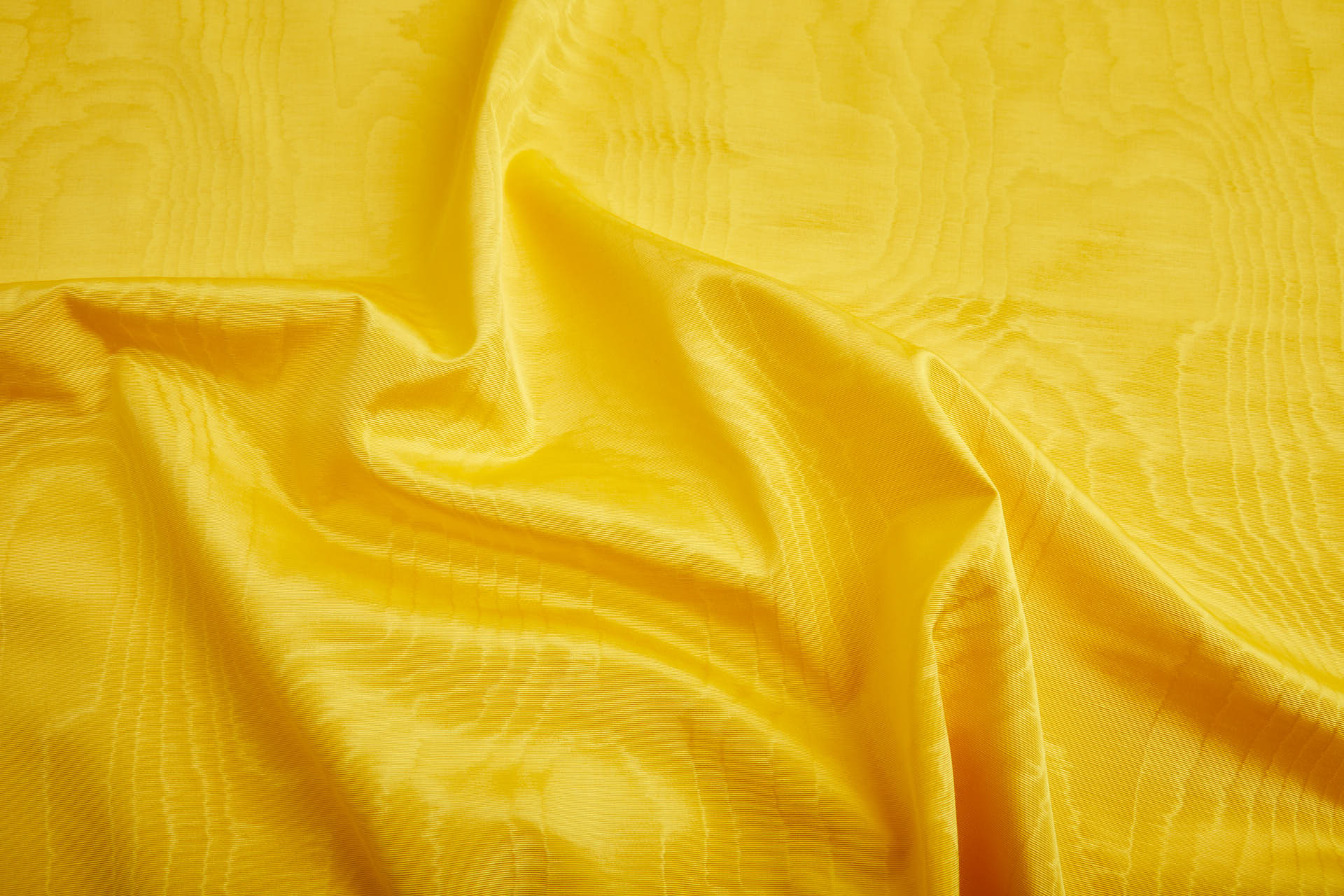 Limited Stock Moire Grosgrain - Sunflower fabric, image 2 of 10
