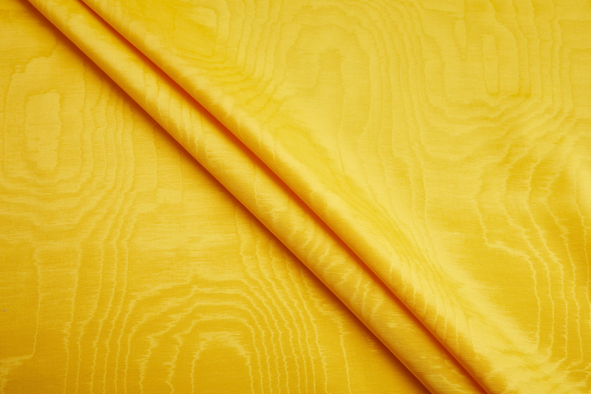 Limited Stock Moire Grosgrain - Sunflower fabric, image 3 of 10