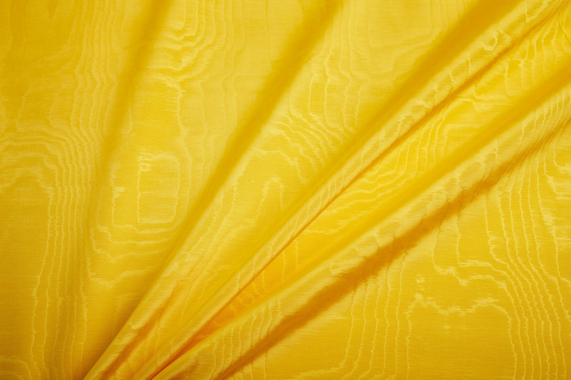 Limited Stock Moire Grosgrain - Sunflower fabric, image 5 of 10