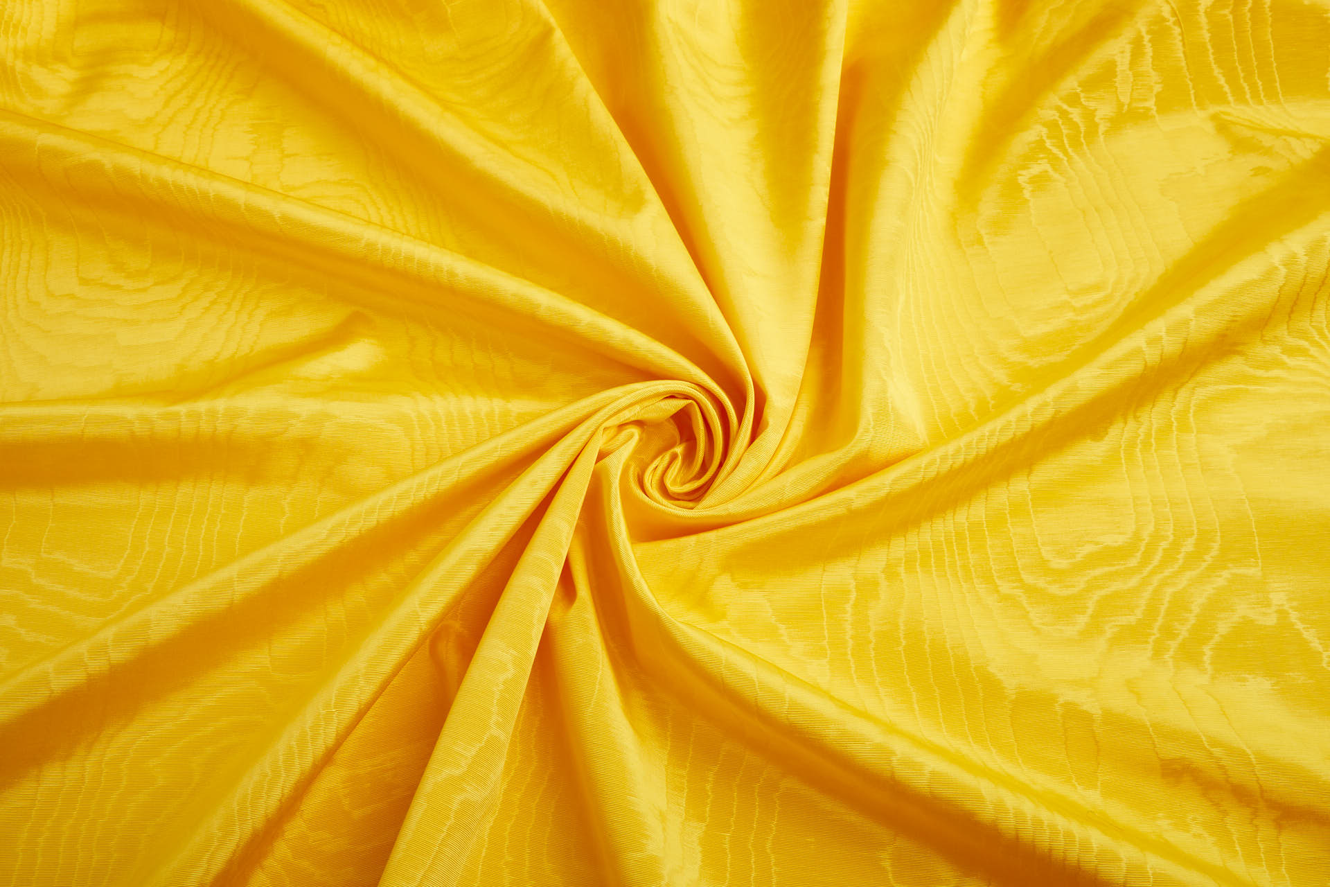 Limited Stock Moire Grosgrain - Sunflower fabric