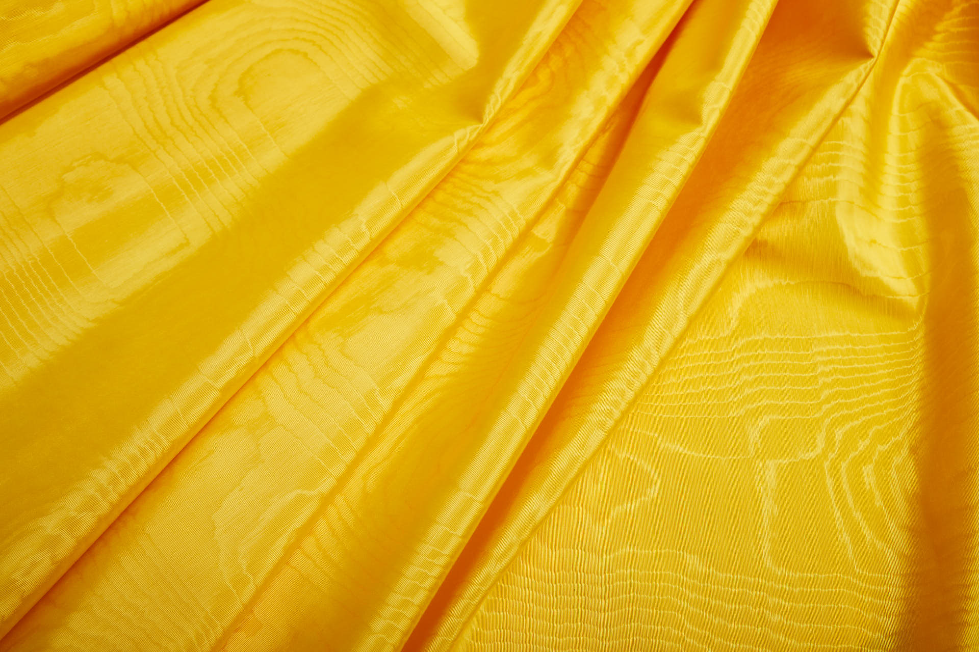 Limited Stock Moire Grosgrain - Sunflower fabric, image 9 of 10