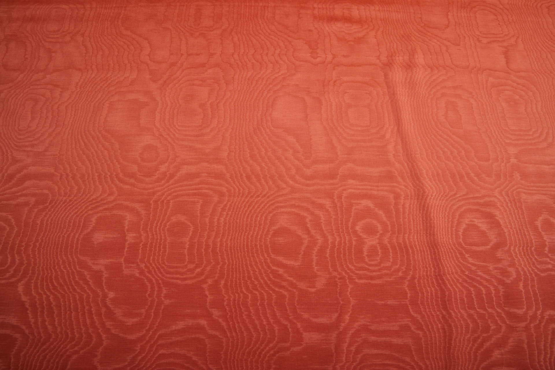 Limited Stock Moire Grosgrain - Orange fabric, image 10 of 10