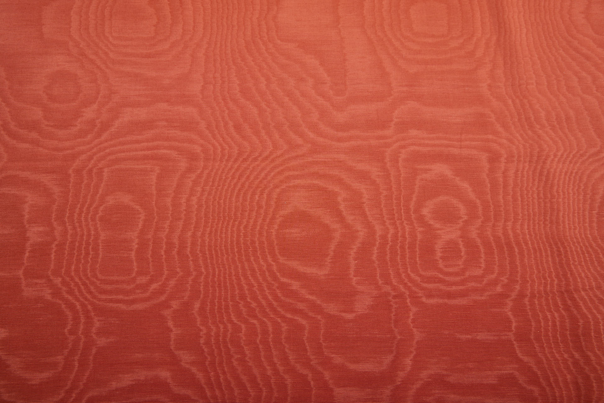 Limited Stock Moire Grosgrain - Orange fabric, image 4 of 10