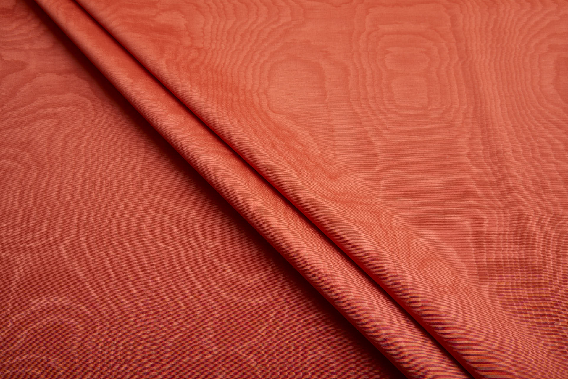 Limited Stock Moire Grosgrain - Orange fabric, image 5 of 10