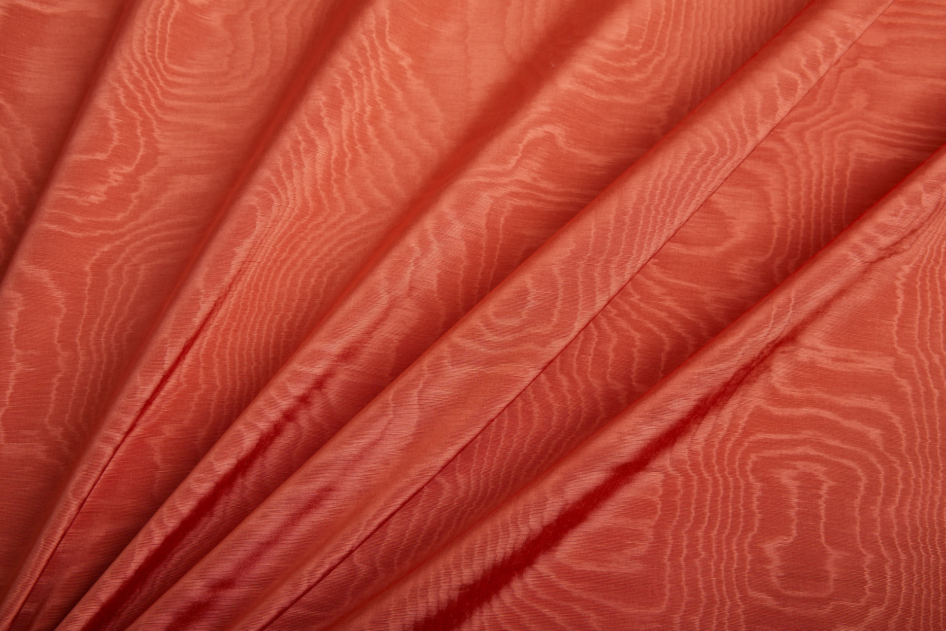 Limited Stock Moire Grosgrain - Orange fabric, image 6 of 10