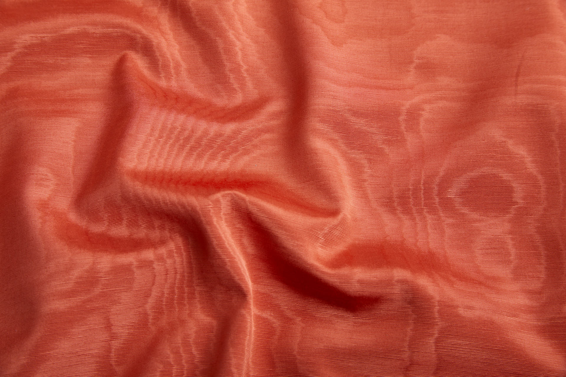 Limited Stock Moire Grosgrain - Orange fabric, image 2 of 10