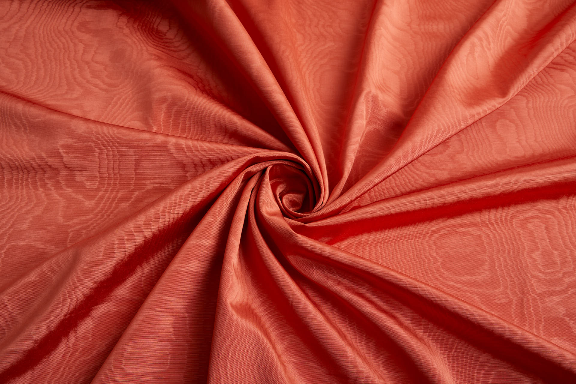 Limited Stock Moire Grosgrain - Orange fabric