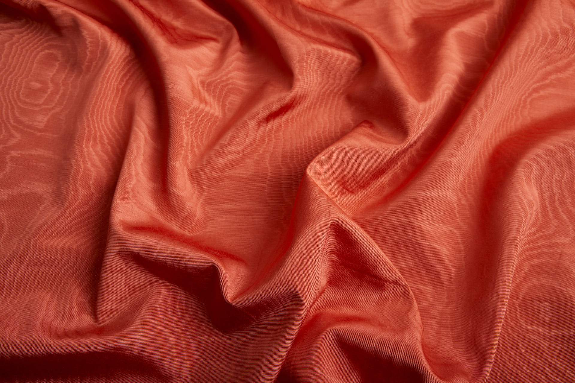 Limited Stock Moire Grosgrain - Orange fabric, image 9 of 10