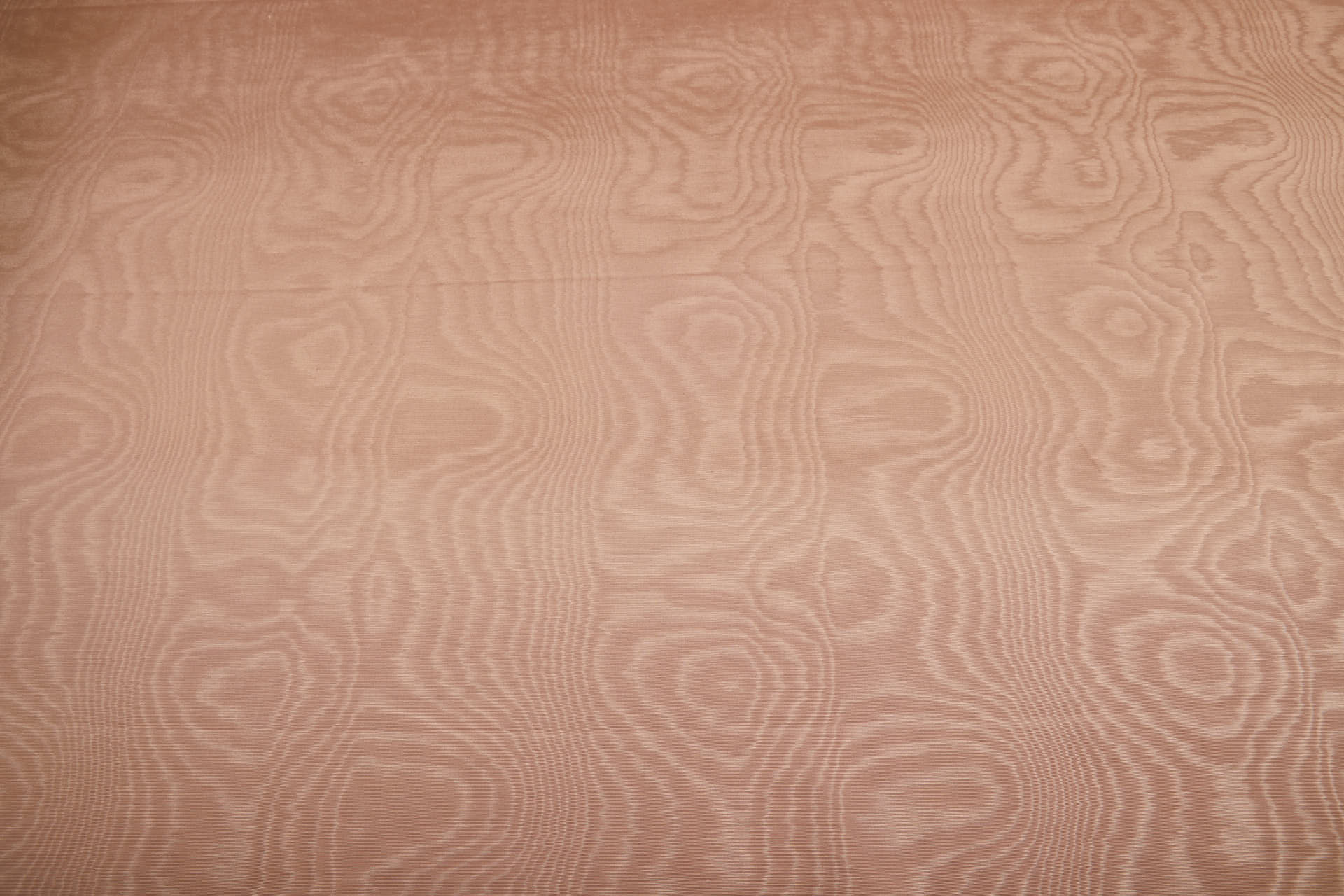 Limited Stock Moire Grosgrain - Nude fabric, image 9 of 9