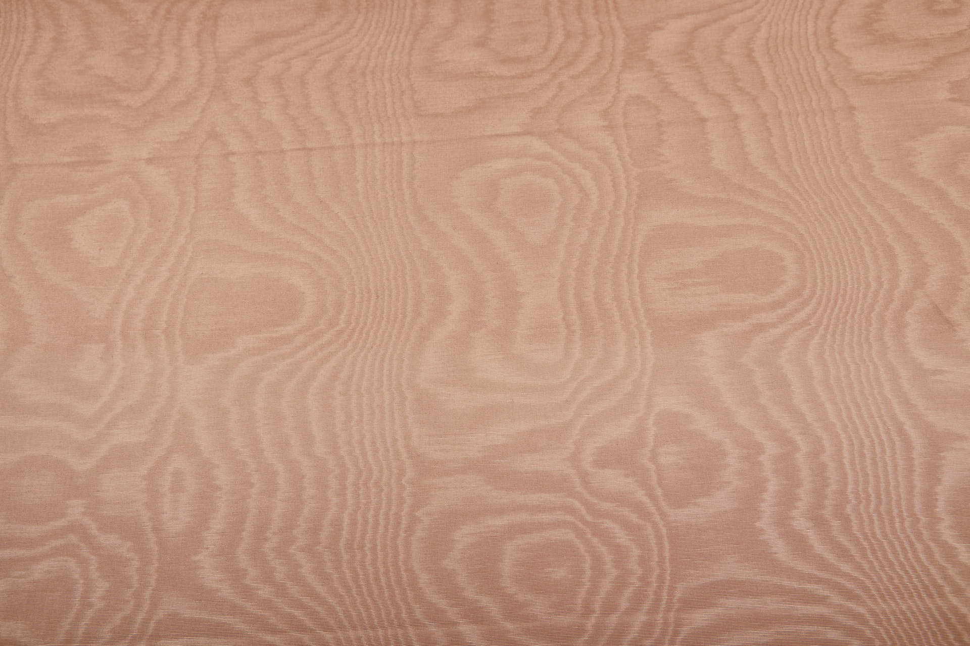 Limited Stock Moire Grosgrain - Nude fabric, image 5 of 9