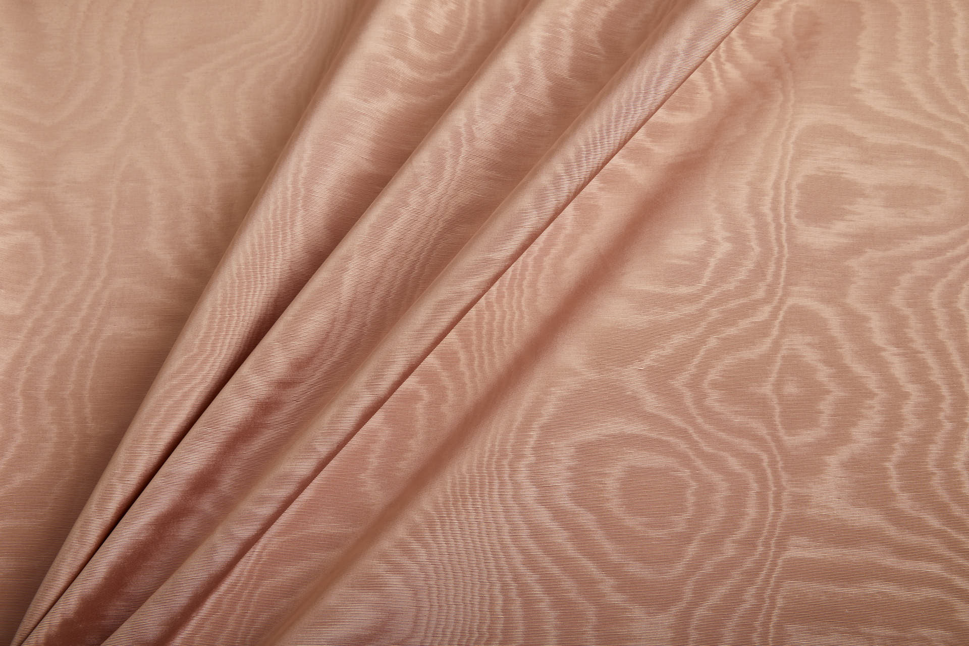 Limited Stock Moire Grosgrain - Nude fabric, image 6 of 9