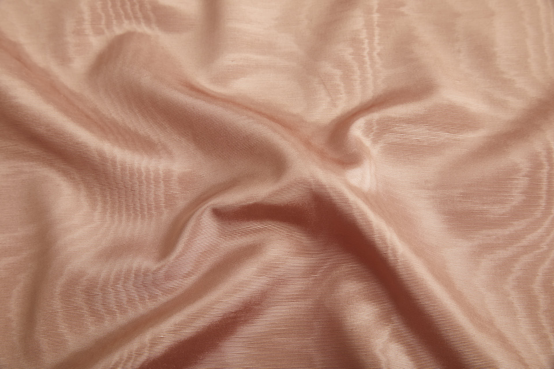 Limited Stock Moire Grosgrain - Nude fabric, image 2 of 9