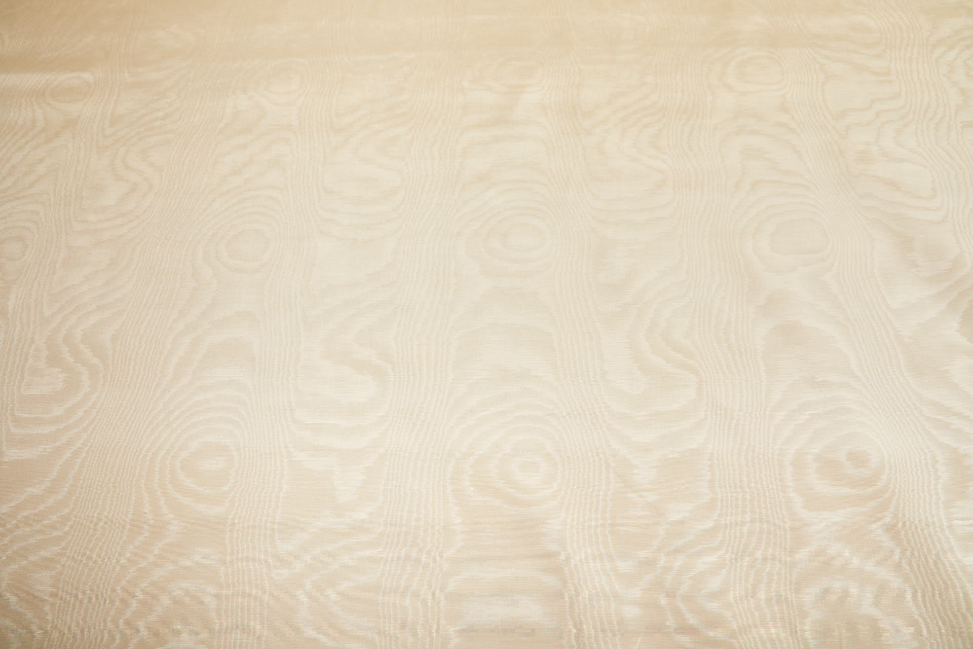 Limited Stock Moire Grosgrain - Champagne fabric, image 9 of 9