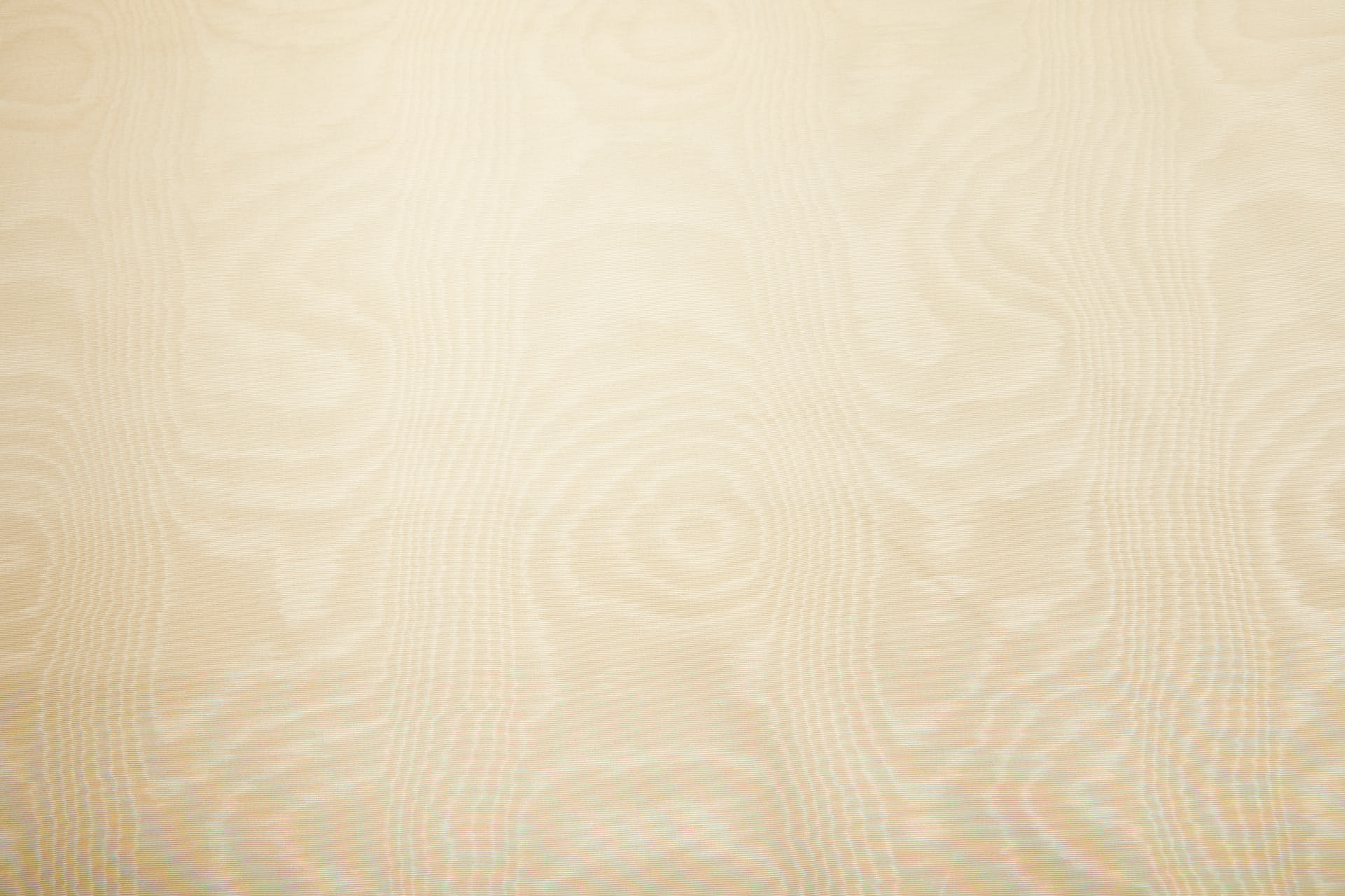 Limited Stock Moire Grosgrain - Champagne fabric, image 5 of 9