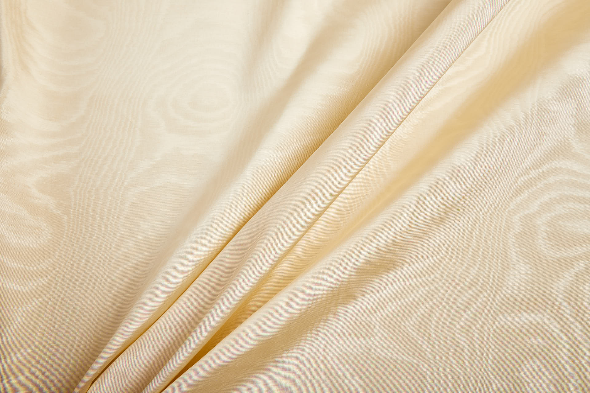 Limited Stock Moire Grosgrain - Champagne fabric, image 8 of 9