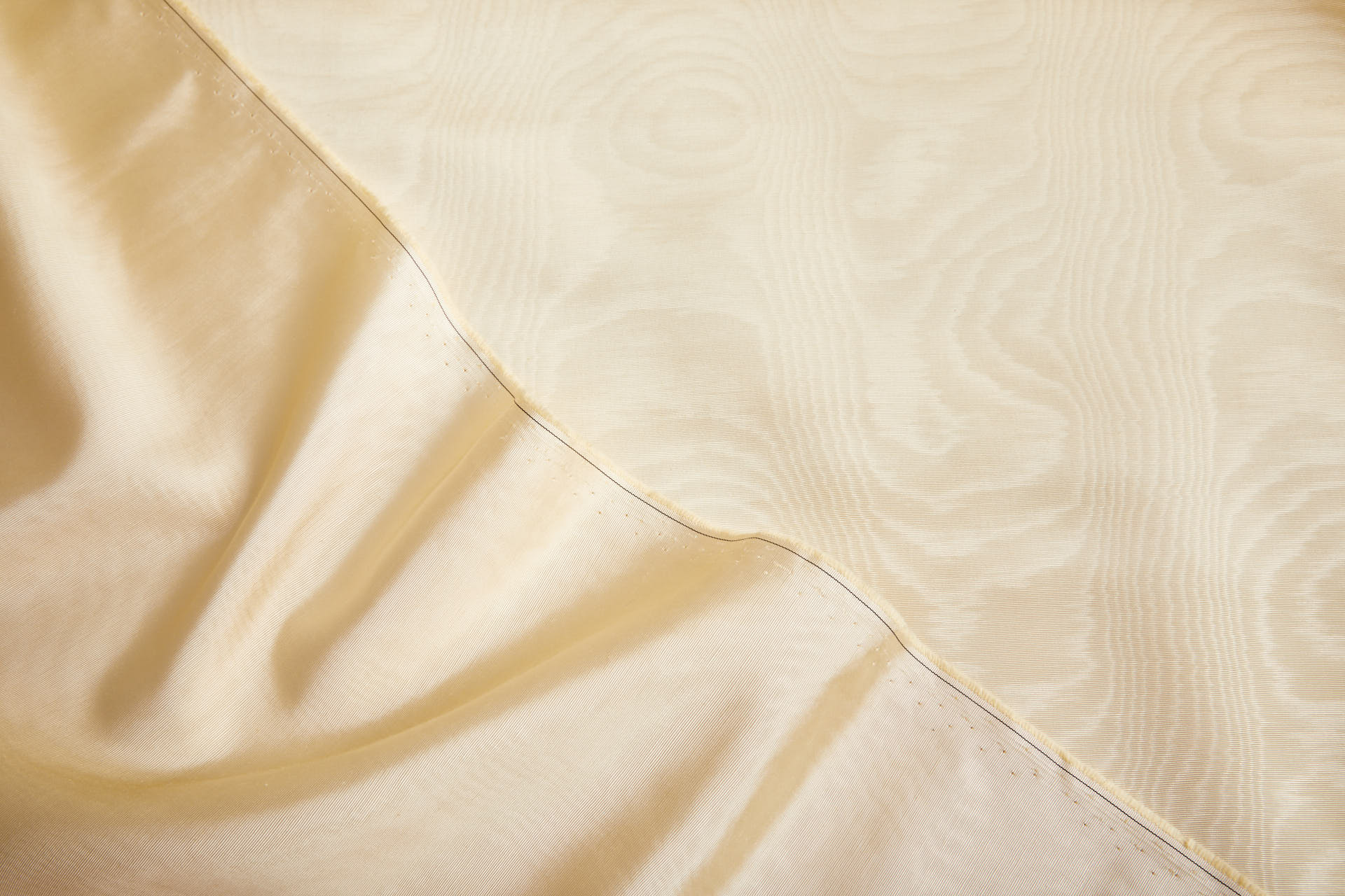 Limited Stock Moire Grosgrain - Champagne fabric, image 4 of 9