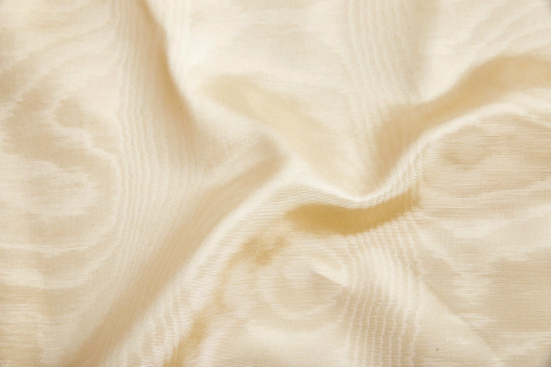 Limited Stock Moire Grosgrain - Champagne fabric, image 2 of 9