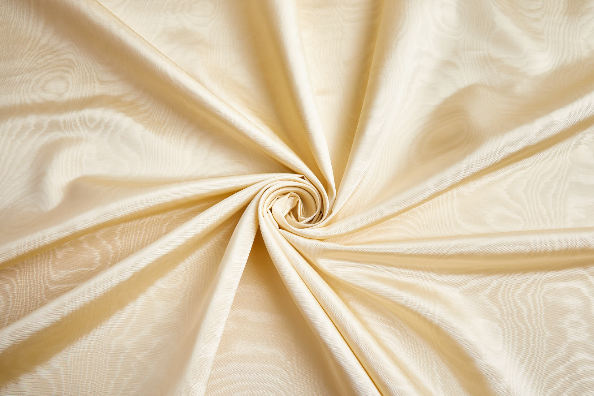 Limited Stock Moire Grosgrain - Champagne fabric