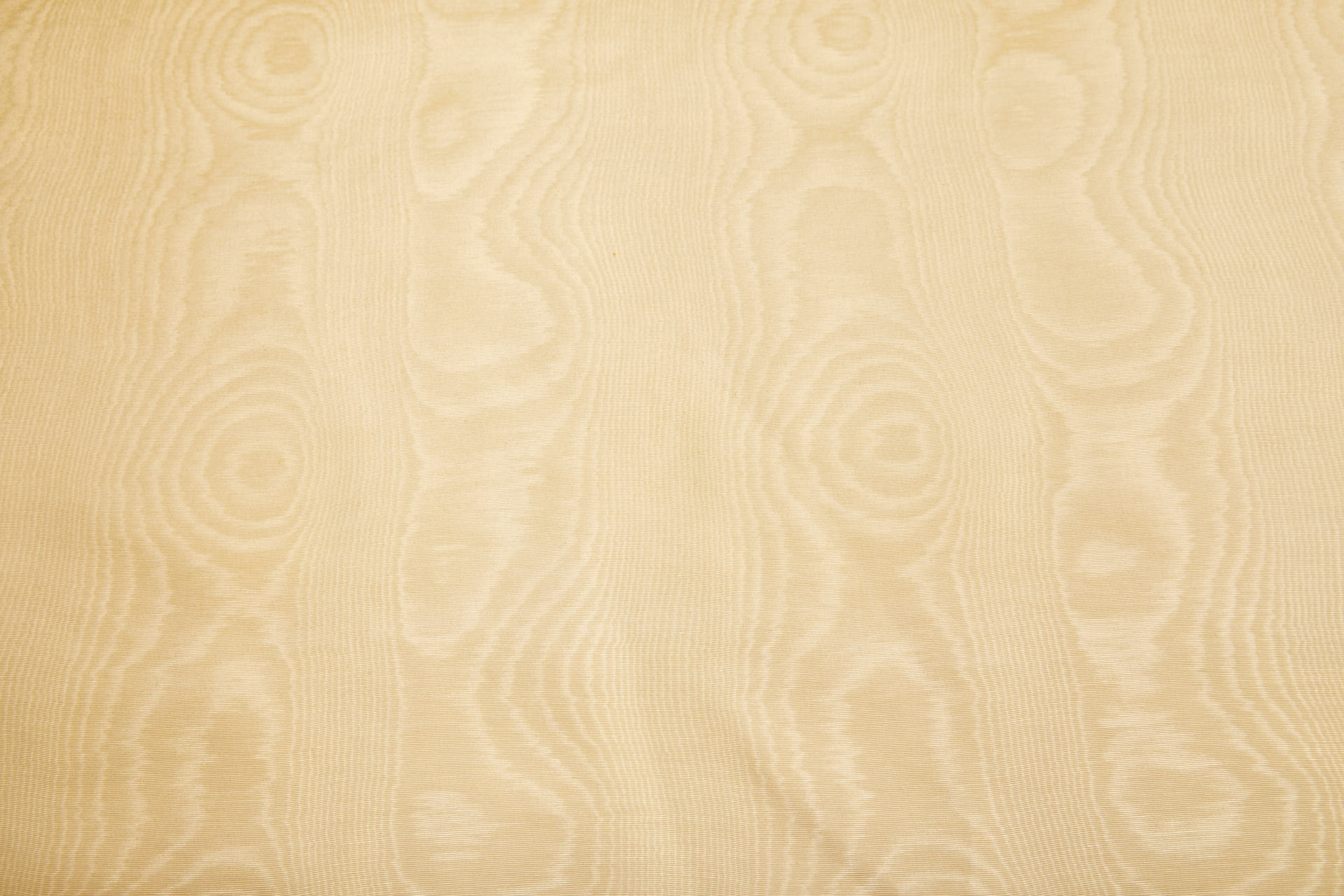 Limited Stock Moire Grosgrain - Pale Gold fabric, image 5 of 9