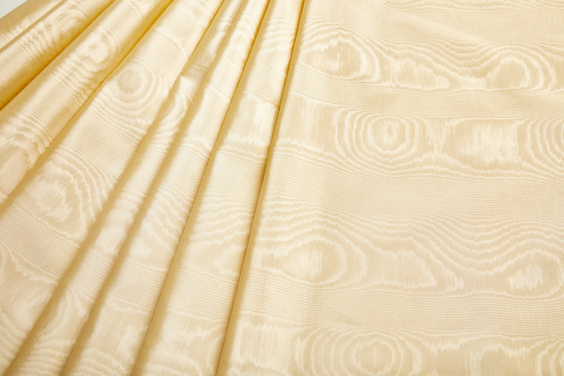 Limited Stock Moire Grosgrain - Pale Gold fabric, image 9 of 9