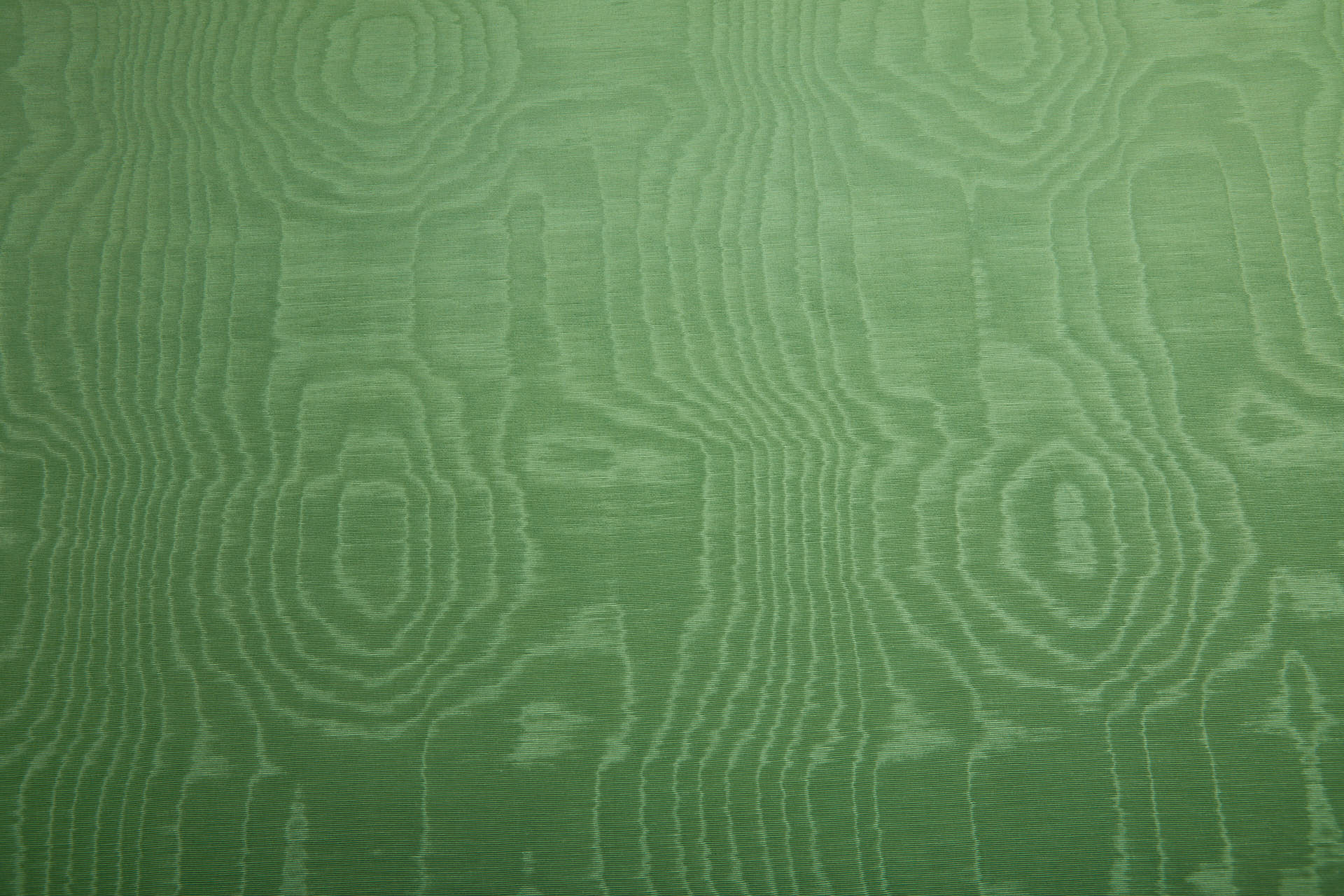Limited Stock Moire Grosgrain - Lawn Green fabric, image 5 of 9