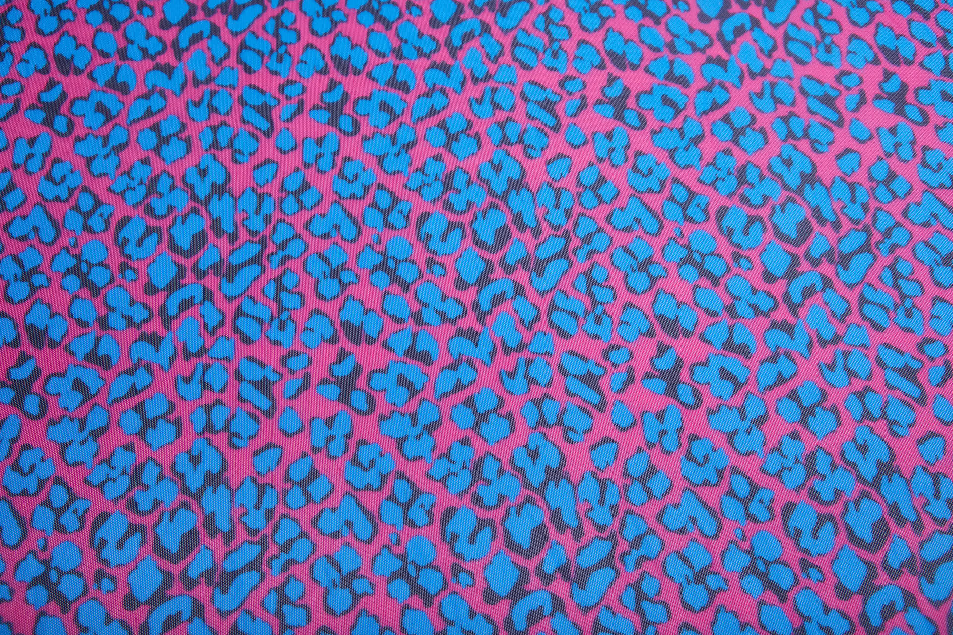 Leopard Print Sheer Bodystocking - Pink and Blue fabric, image 11 of 12