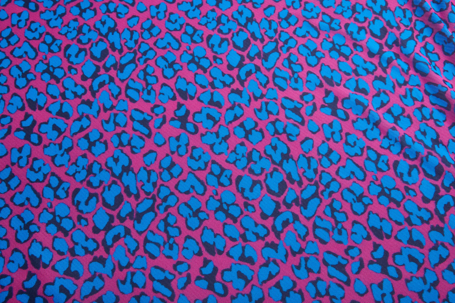 Leopard Print Sheer Bodystocking - Pink and Blue fabric, image 7 of 12