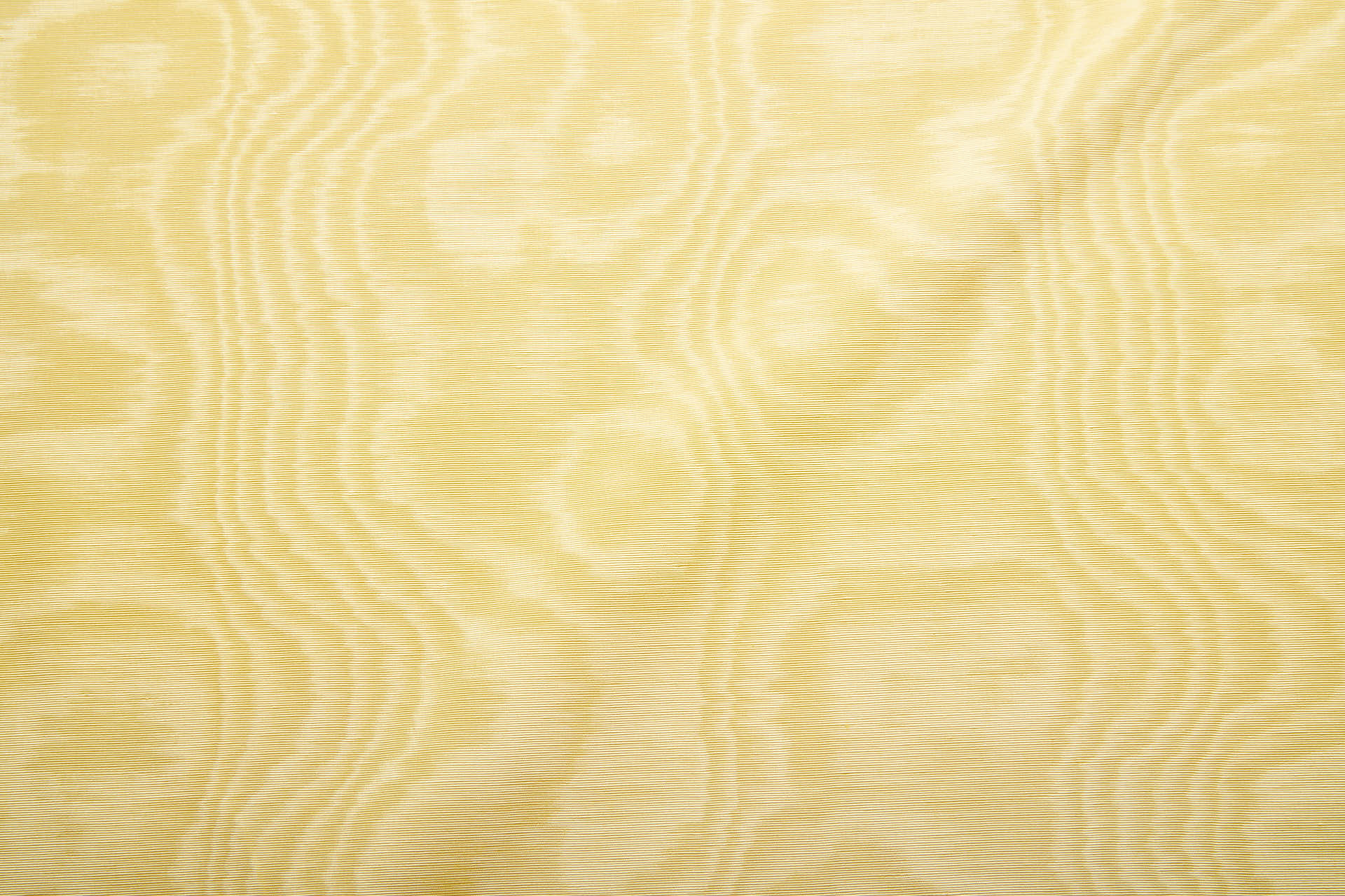 Limited Stock Moire Grosgrain - Primrose fabric, image 8 of 8