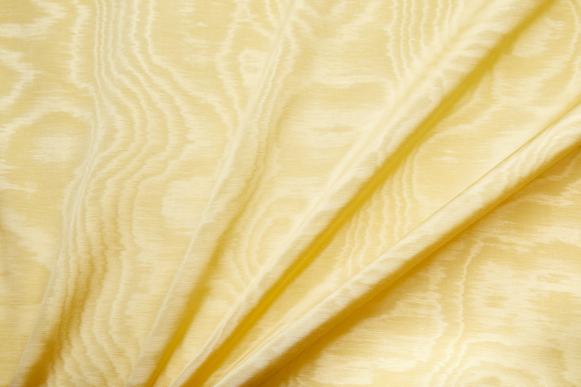 Limited Stock Moire Grosgrain - Primrose fabric, image 5 of 8