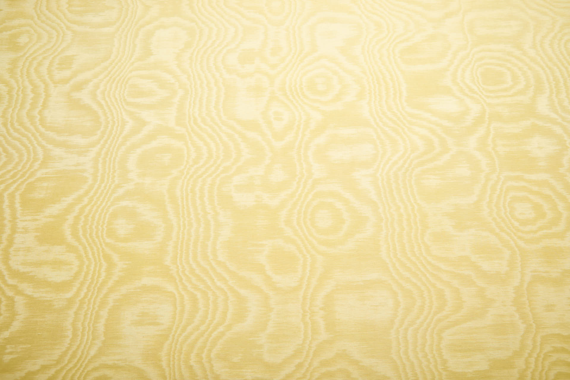 Limited Stock Moire Grosgrain - Primrose fabric, image 6 of 8