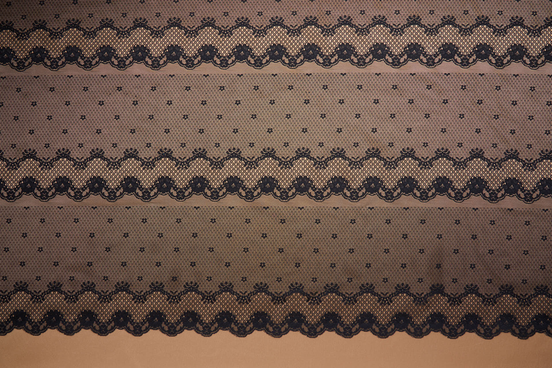 Lace Border / Stripe in Black fabric, image 11 of 11