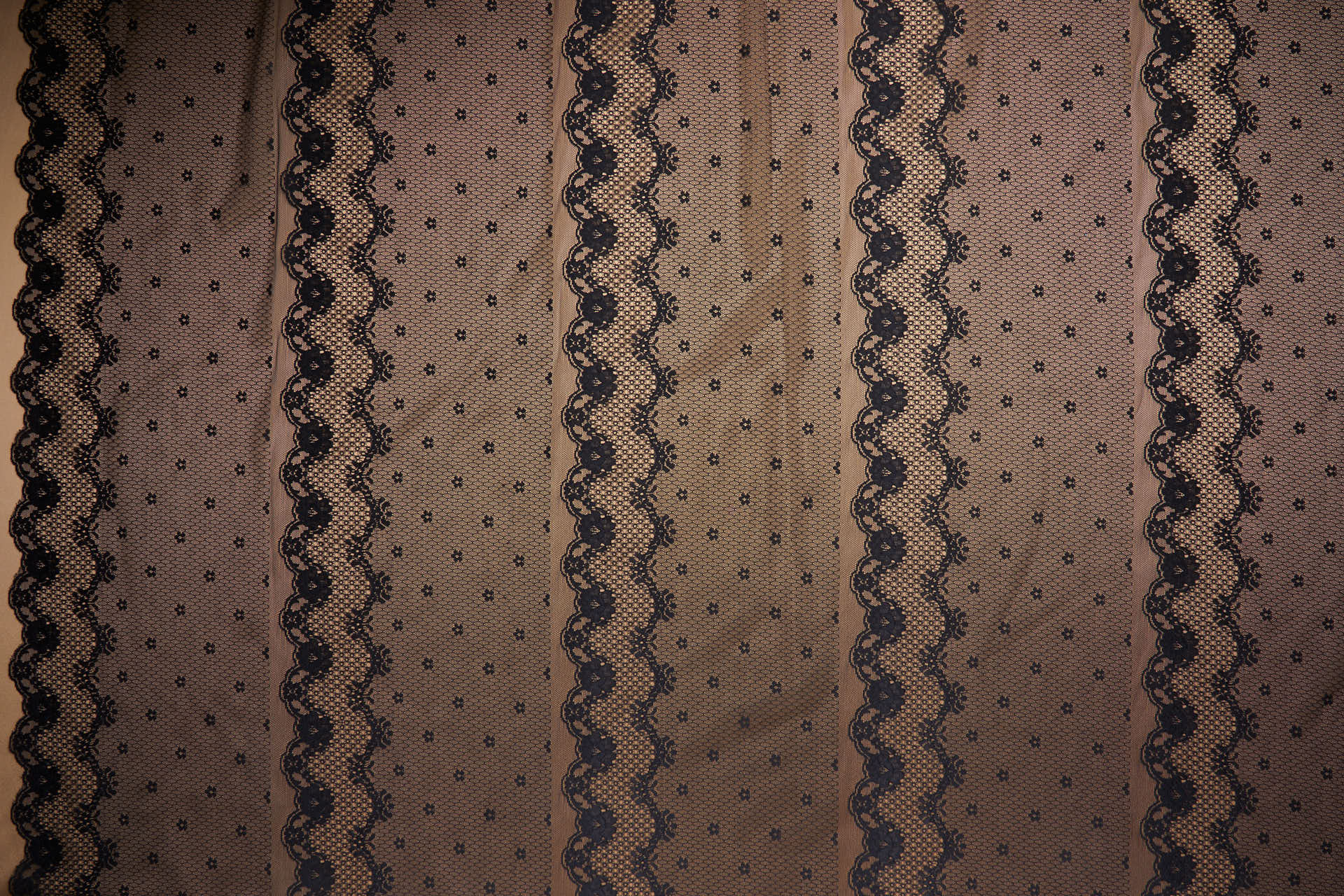 Lace Border / Stripe in Black fabric, image 10 of 11