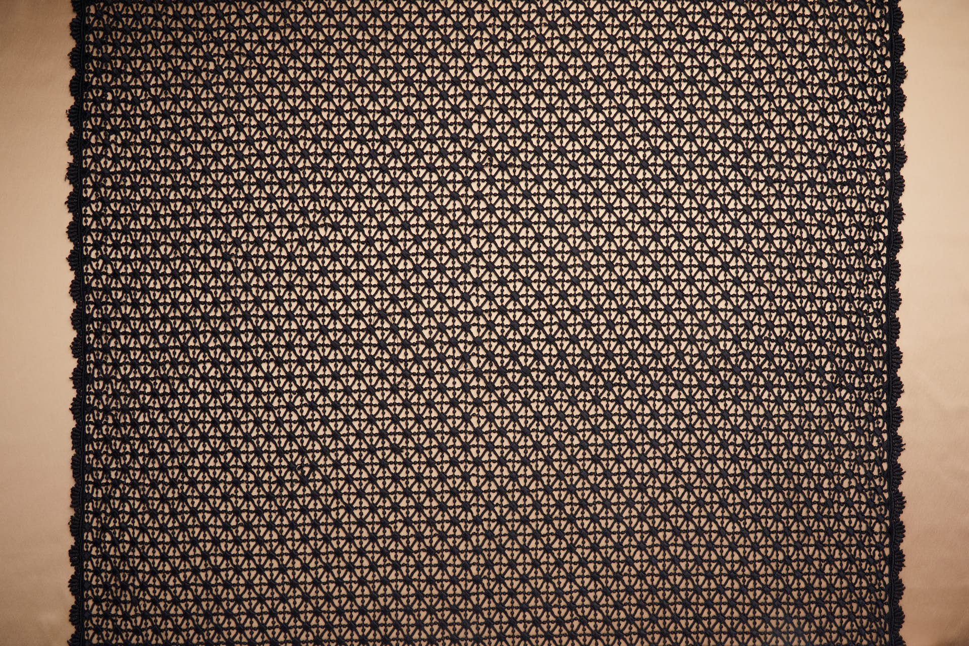 Geometric Trellis Guipure Lace in Black fabric, image 9 of 10