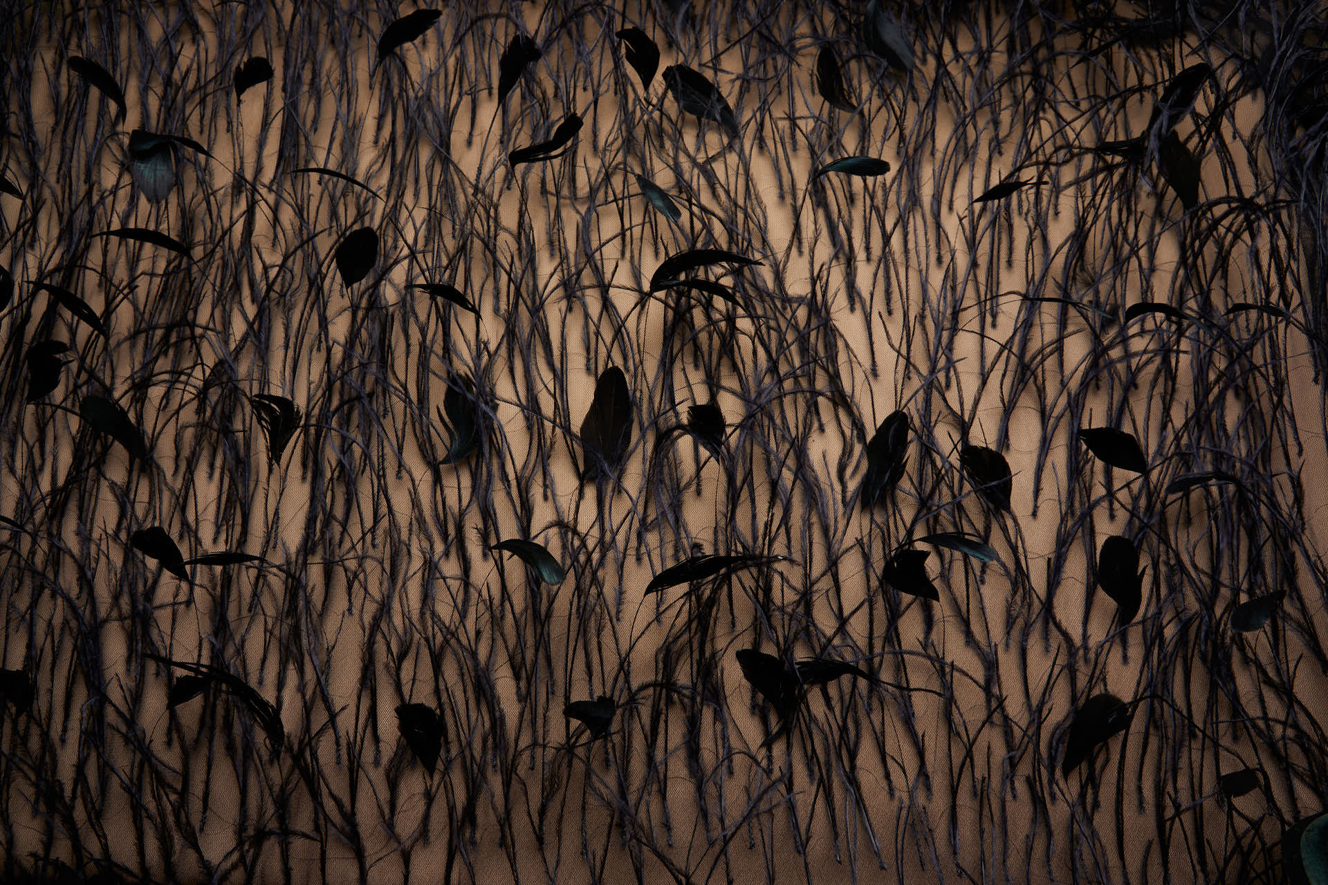 Ostrich and Stripped Coque Feathers on Tulle - Black fabric, image 8 of 12