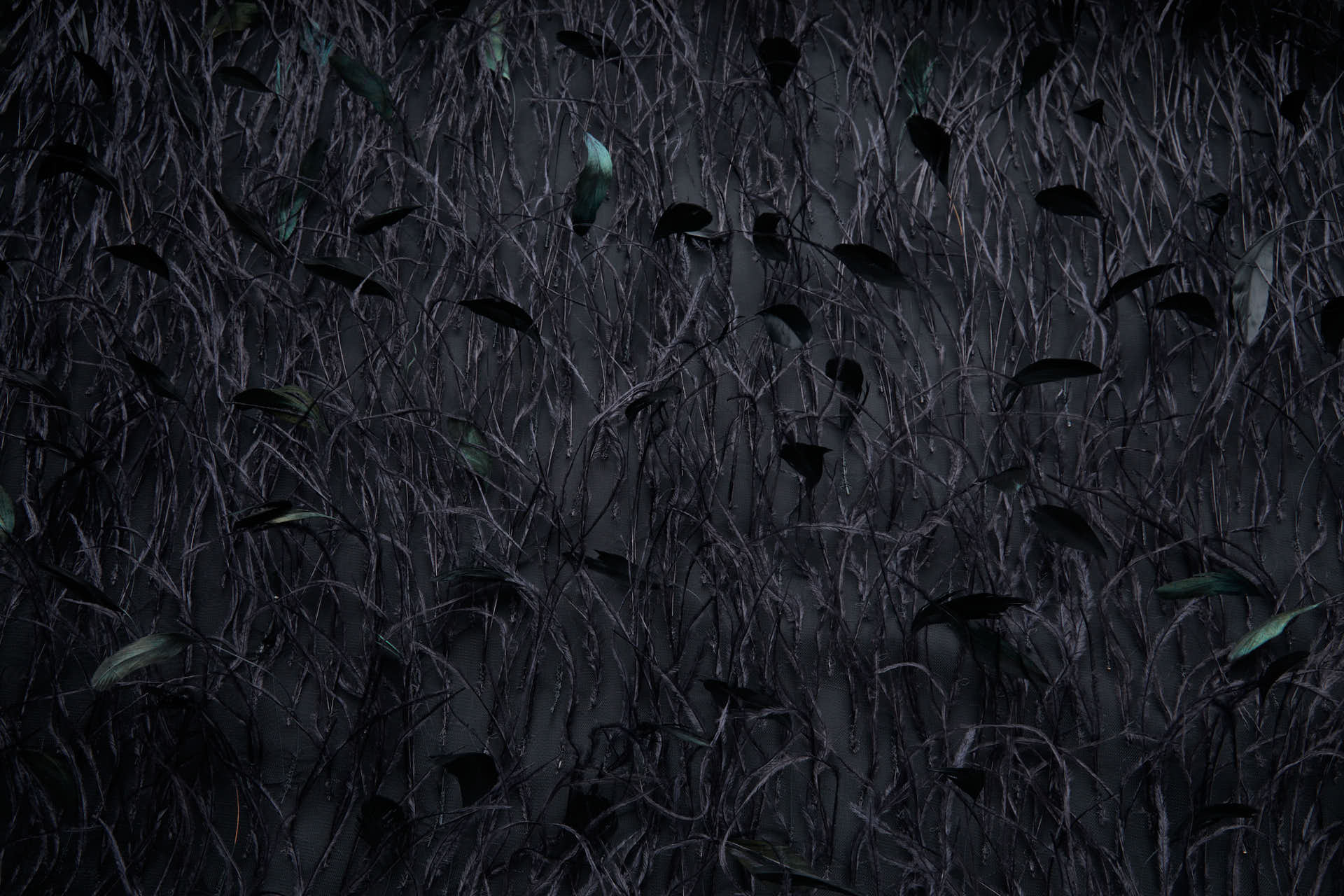 Ostrich and Stripped Coque Feathers on Tulle - Black fabric, image 4 of 12