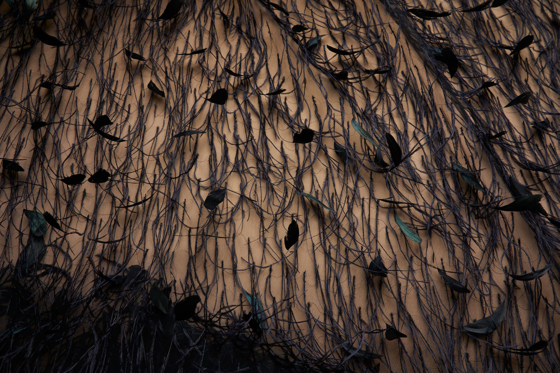 Ostrich and Stripped Coque Feathers on Tulle - Black fabric, image 6 of 12