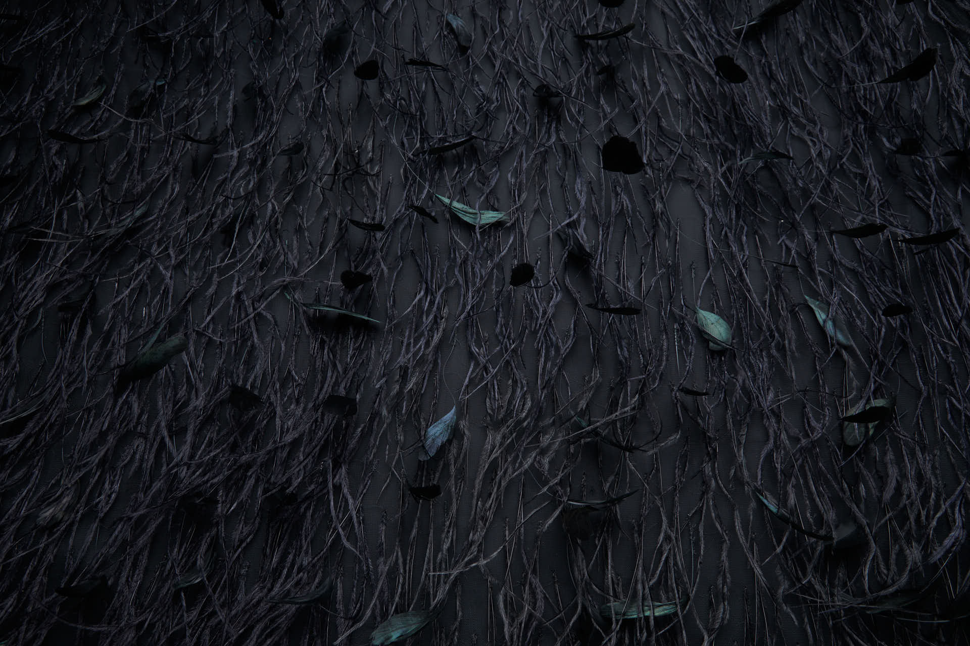 Ostrich and Stripped Coque Feathers on Tulle - Black fabric, image 11 of 12
