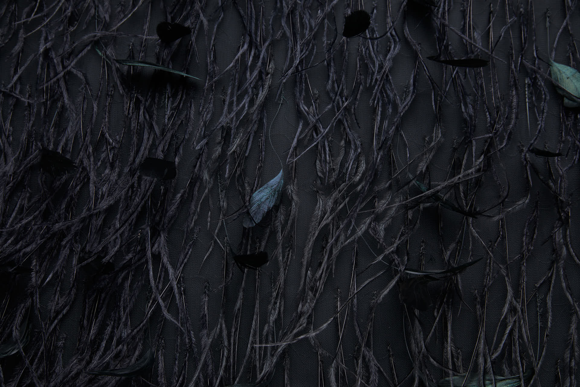 Ostrich and Stripped Coque Feathers on Tulle - Black fabric, image 5 of 12