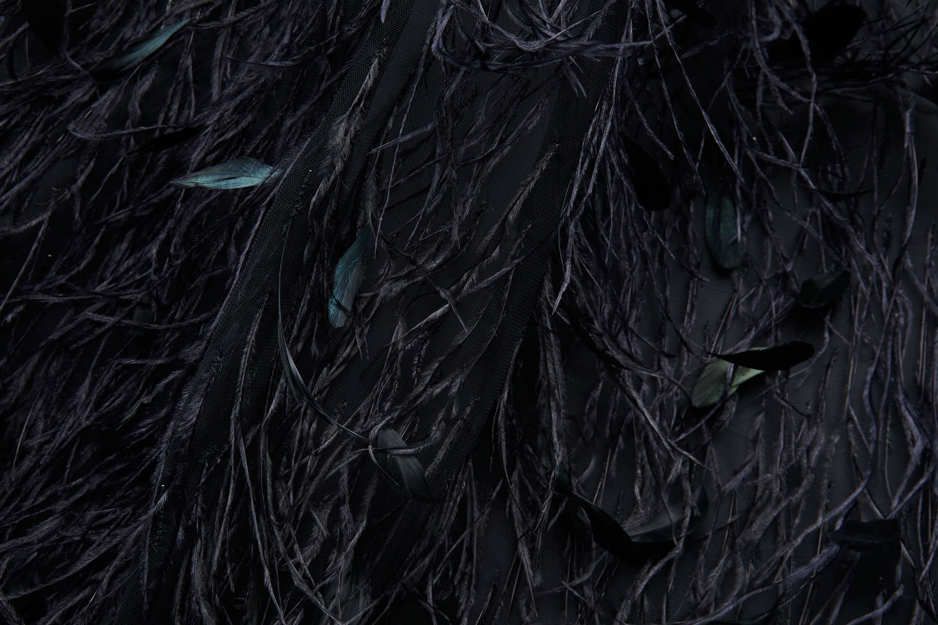 Ostrich and Stripped Coque Feathers on Tulle - Black fabric, image 10 of 12