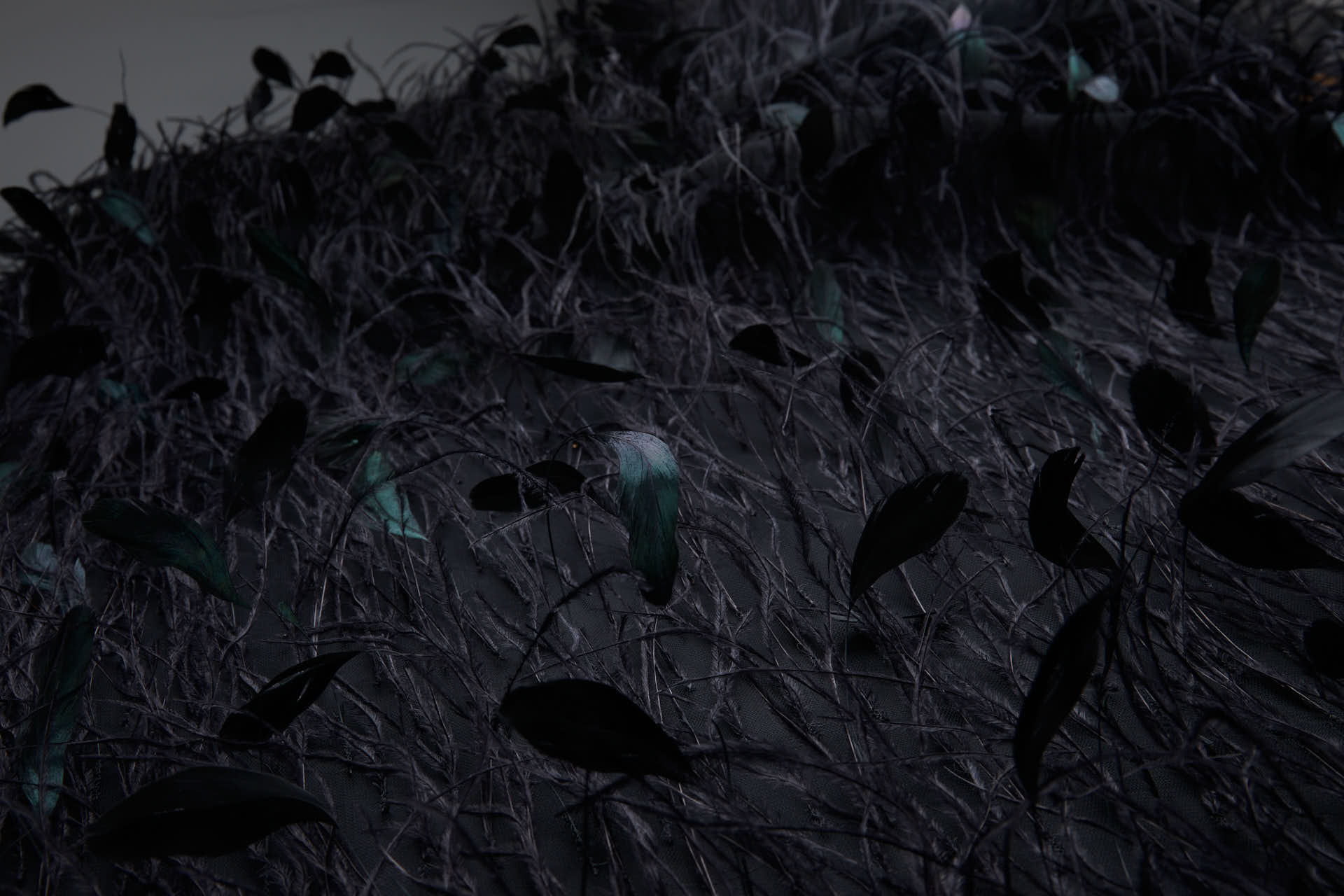 Ostrich and Stripped Coque Feathers on Tulle - Black fabric, image 9 of 12