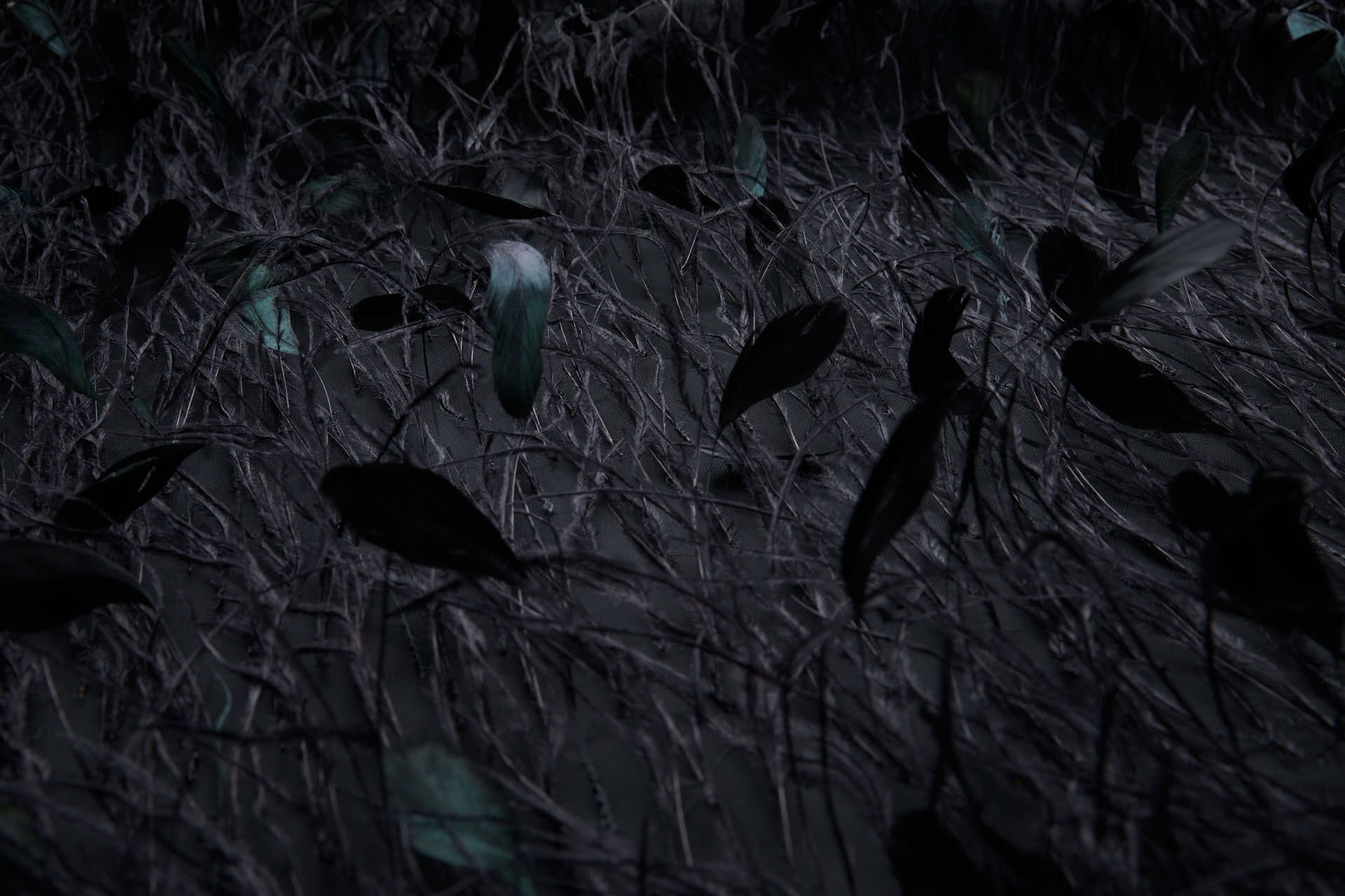 Ostrich and Stripped Coque Feathers on Tulle - Black fabric, image 12 of 12