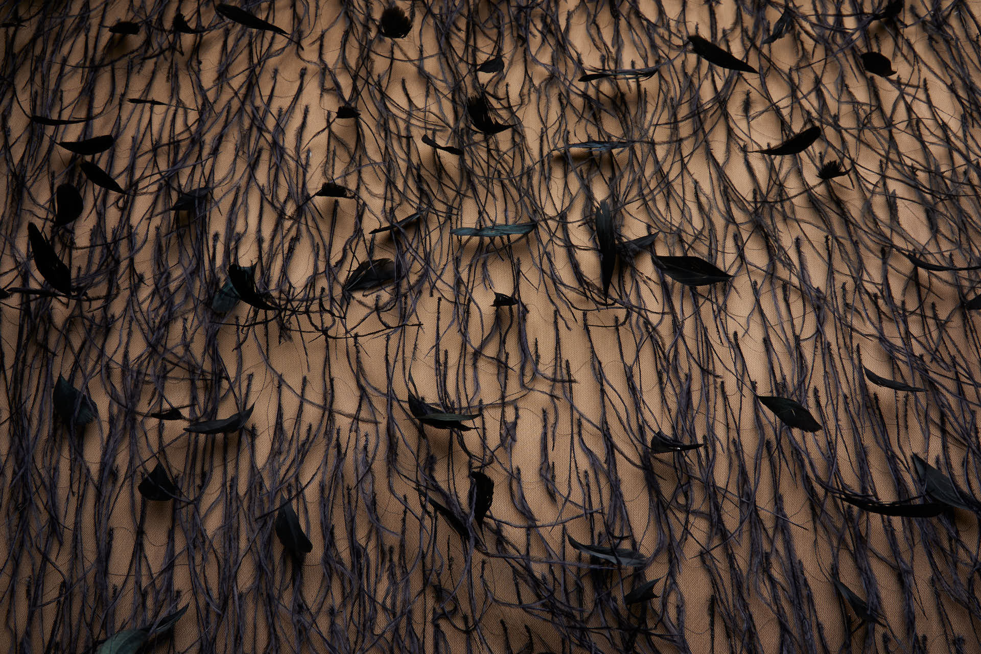 Ostrich and Stripped Coque Feathers on Tulle - Black fabric, image 2 of 12