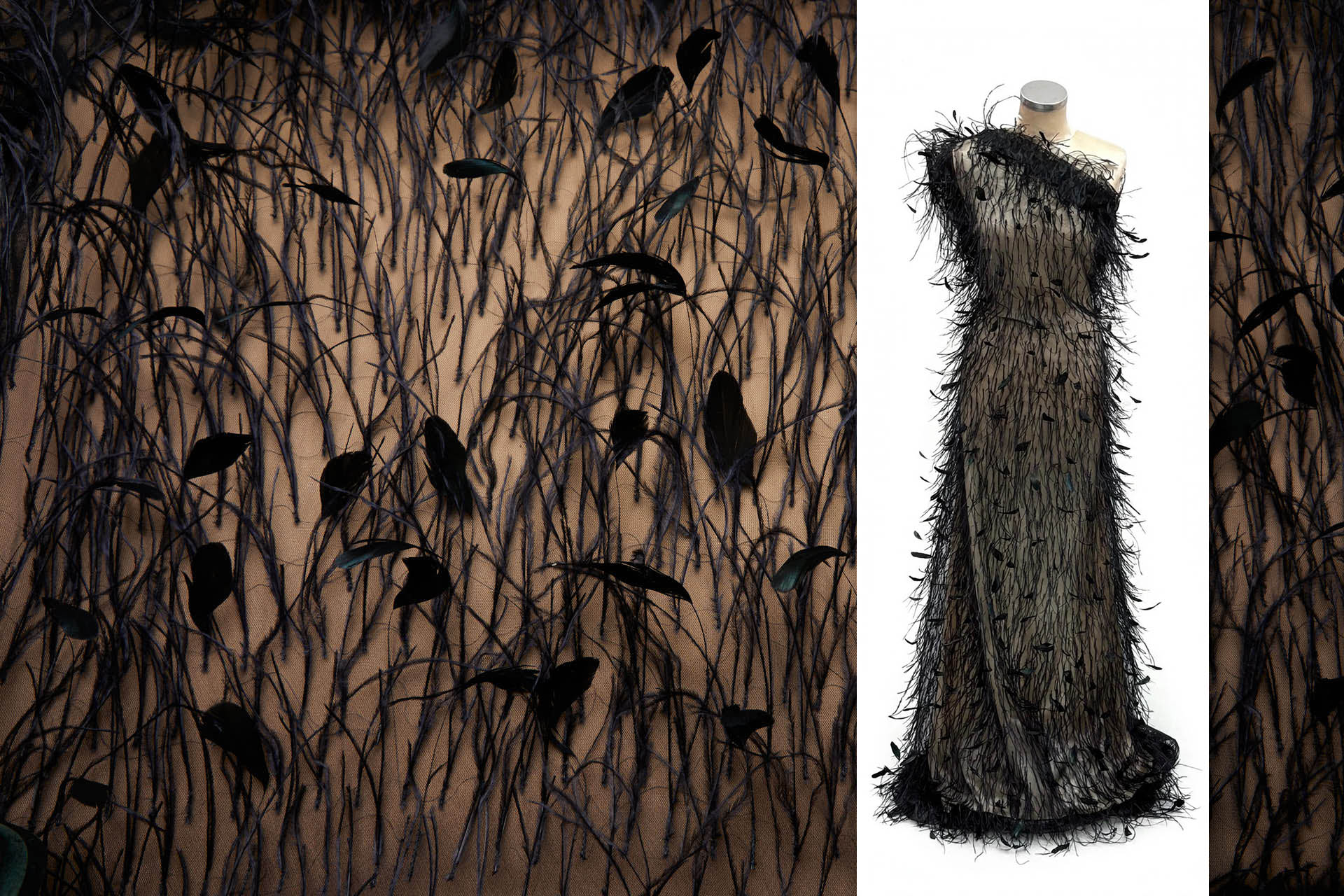 Ostrich and Stripped Coque Feathers on Tulle - Black fabric