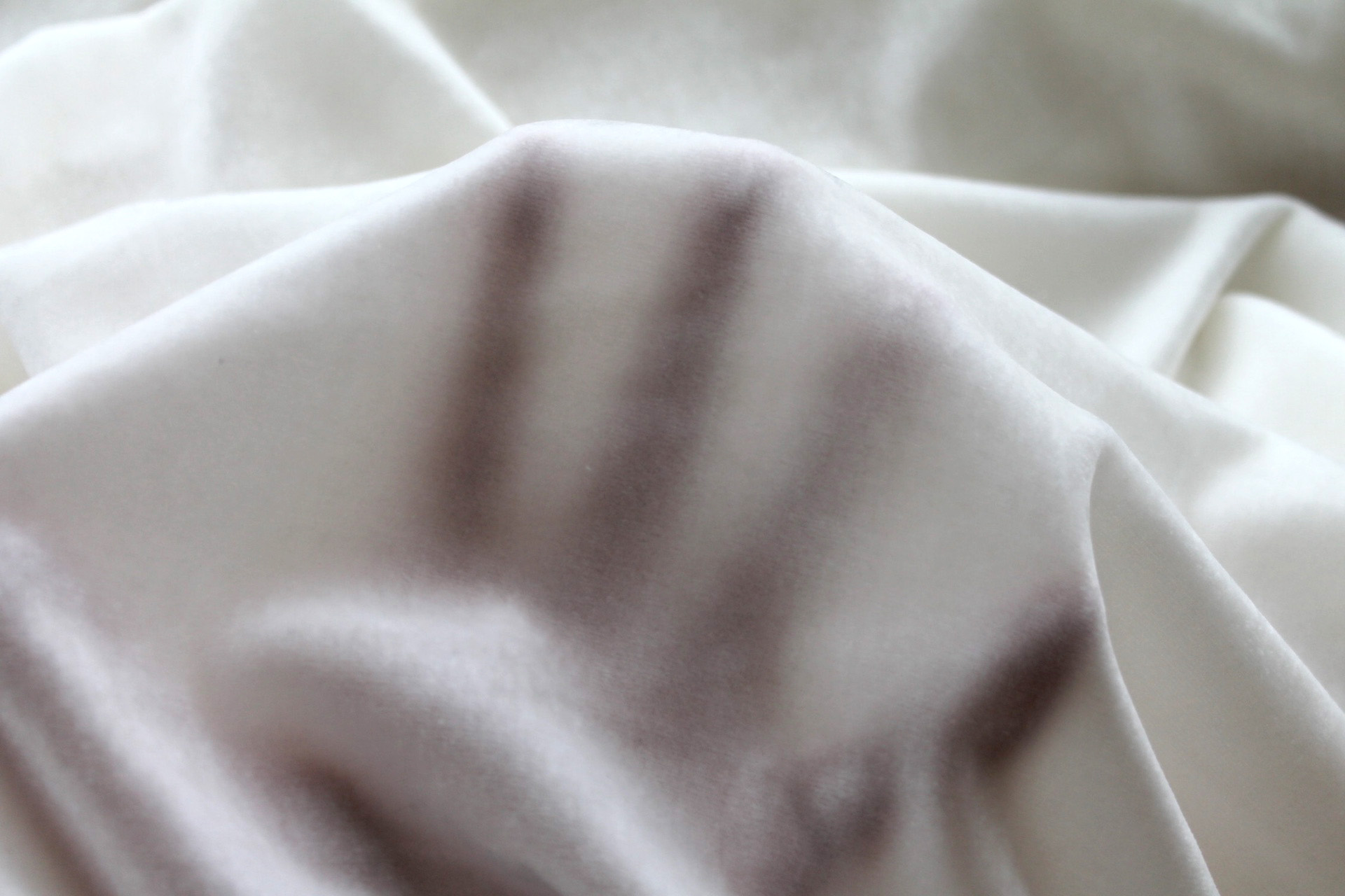 Stretch Silk Velvet - Ivory - 110cm wide fabric, image 2 of 6