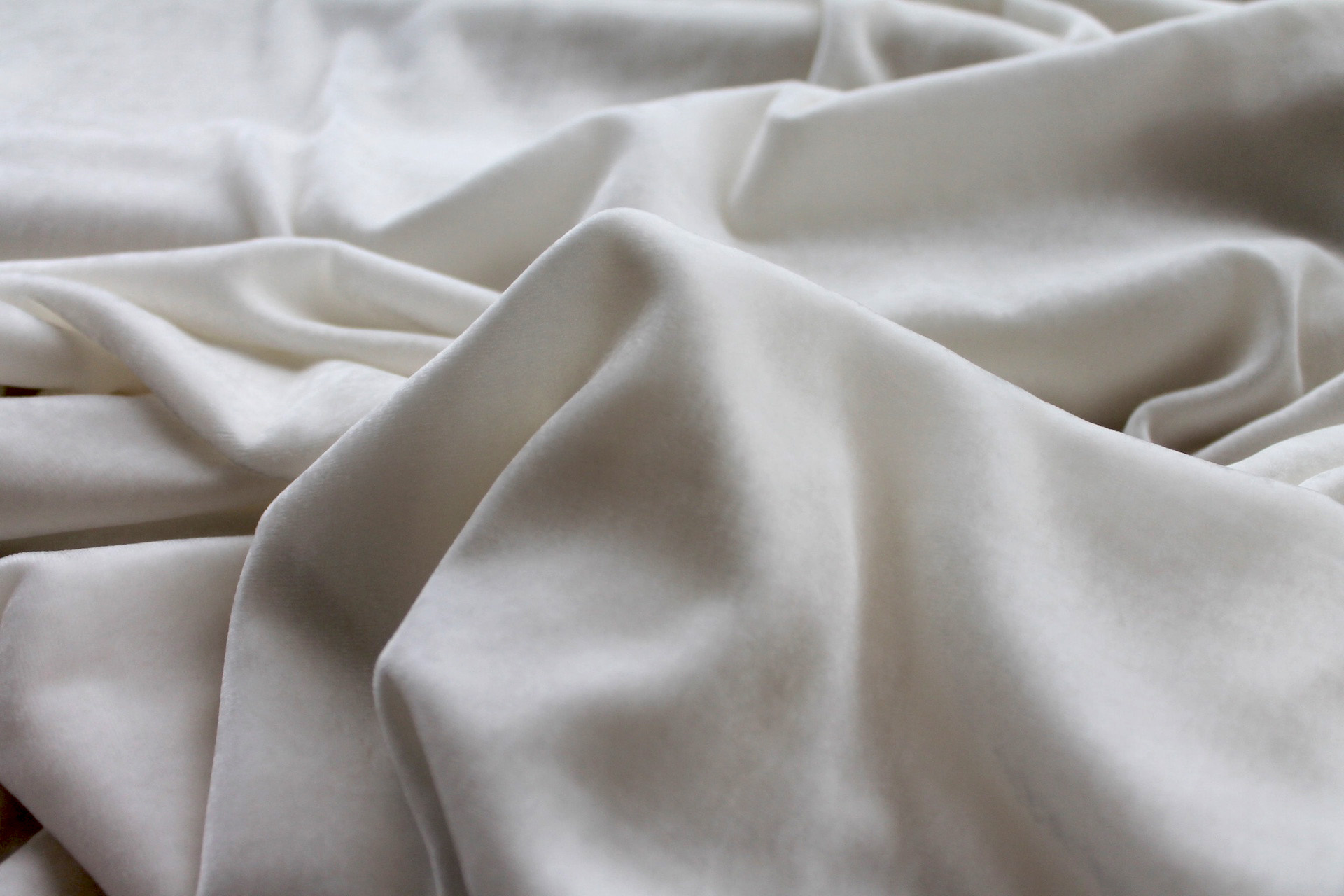 Stretch Silk Velvet - Ivory - 110cm wide fabric, image 5 of 6