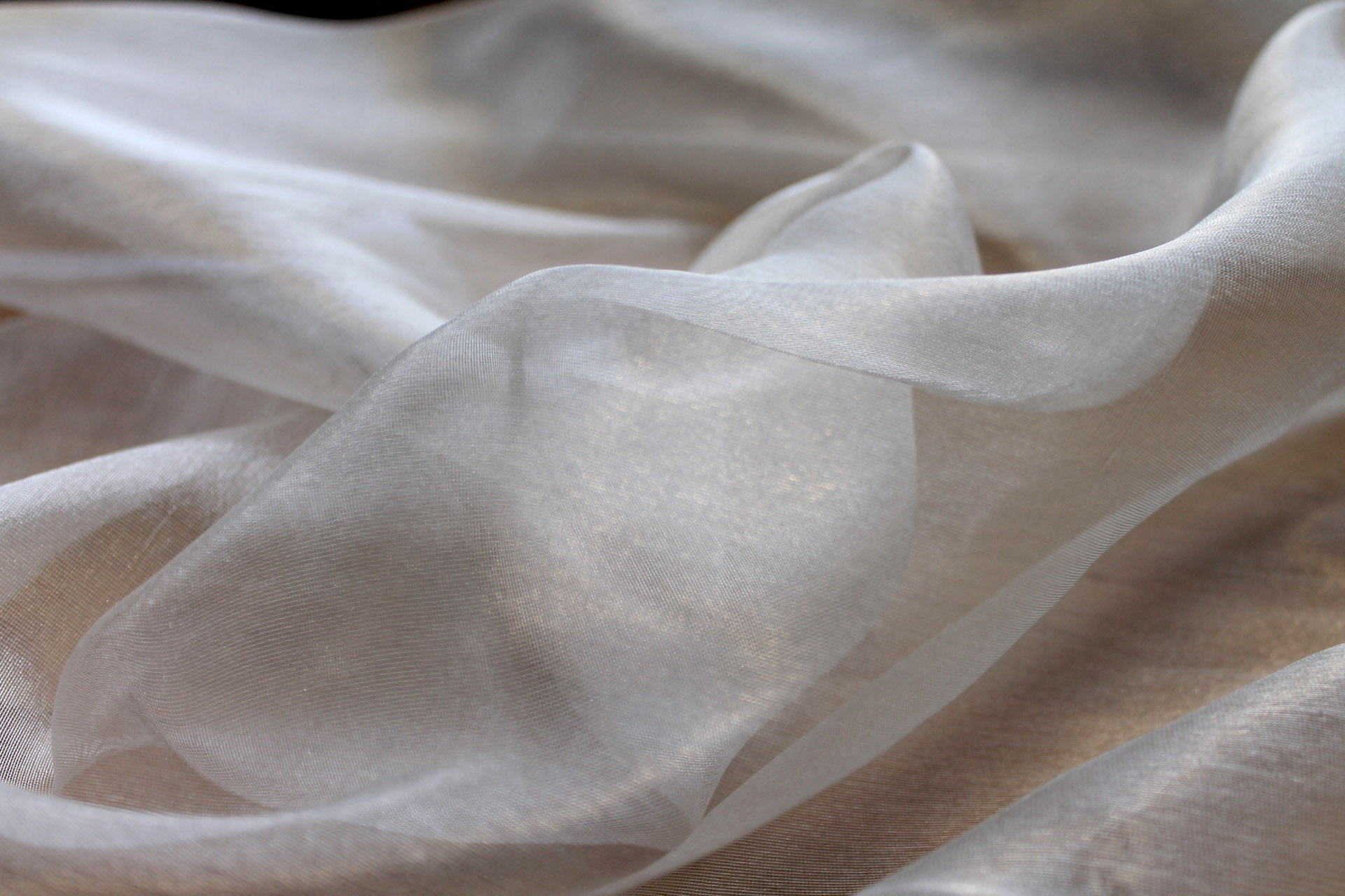 Silk Organza - Metallic Silver/Ivory fabric, image 4 of 5