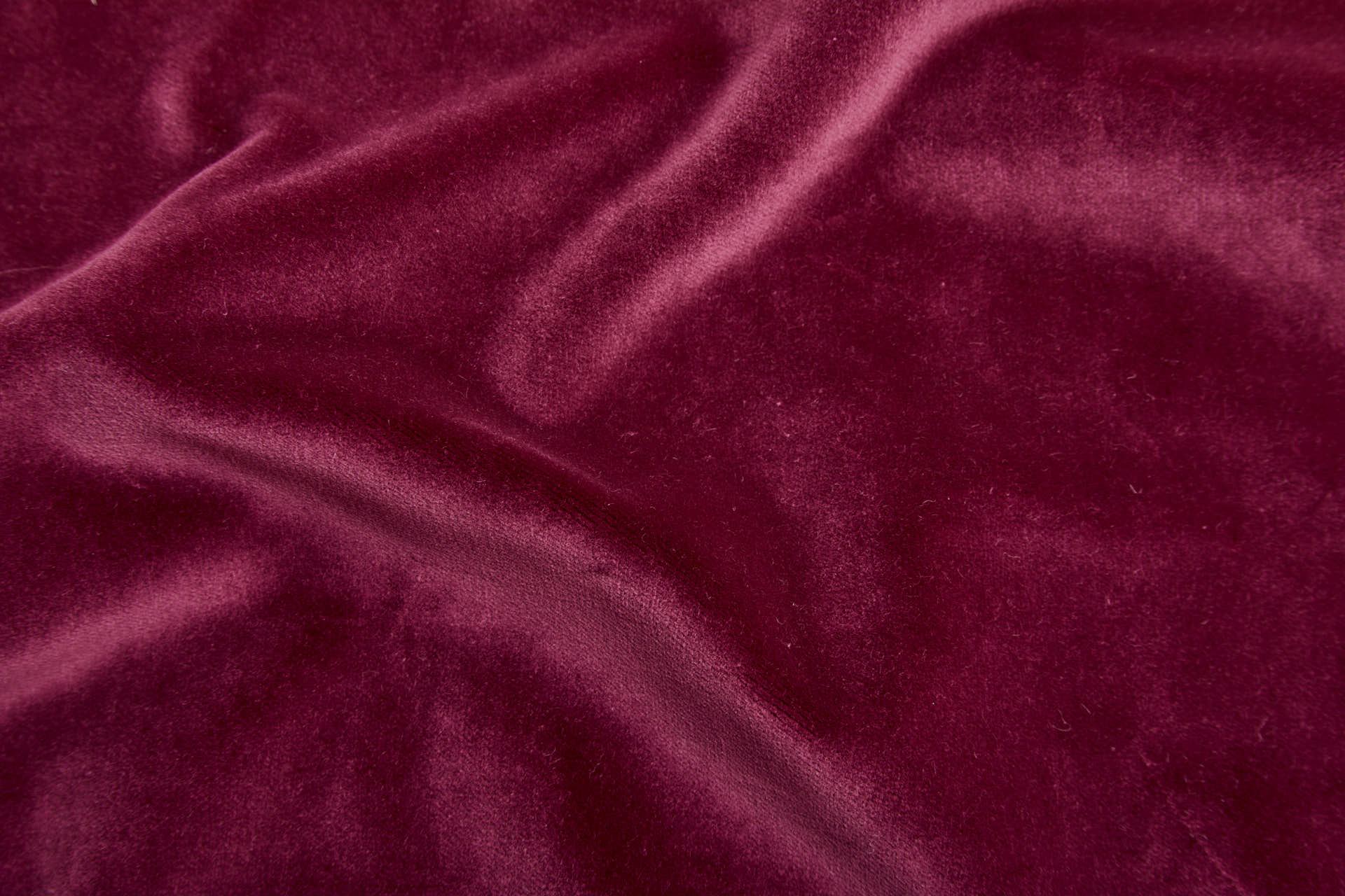 Heavy Cotton Velvet - Berry fabric, image 4 of 5
