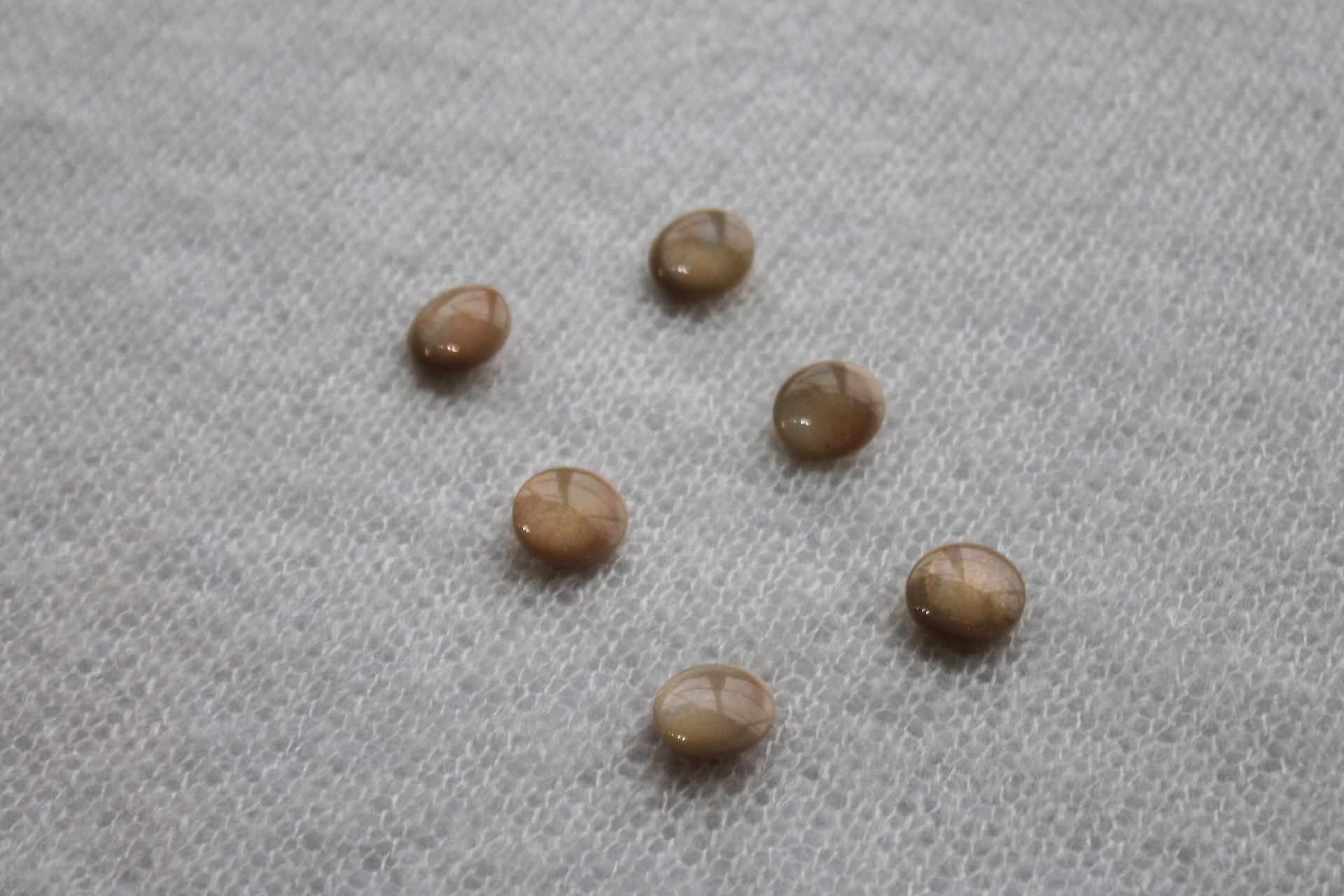 Round Resin Cat Eye Button - Beige / Taupe - 1.7cm, image 2 of 4