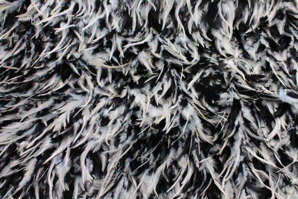 Black and White Feathers on Silk Chiffon fabric, image 3 of 5